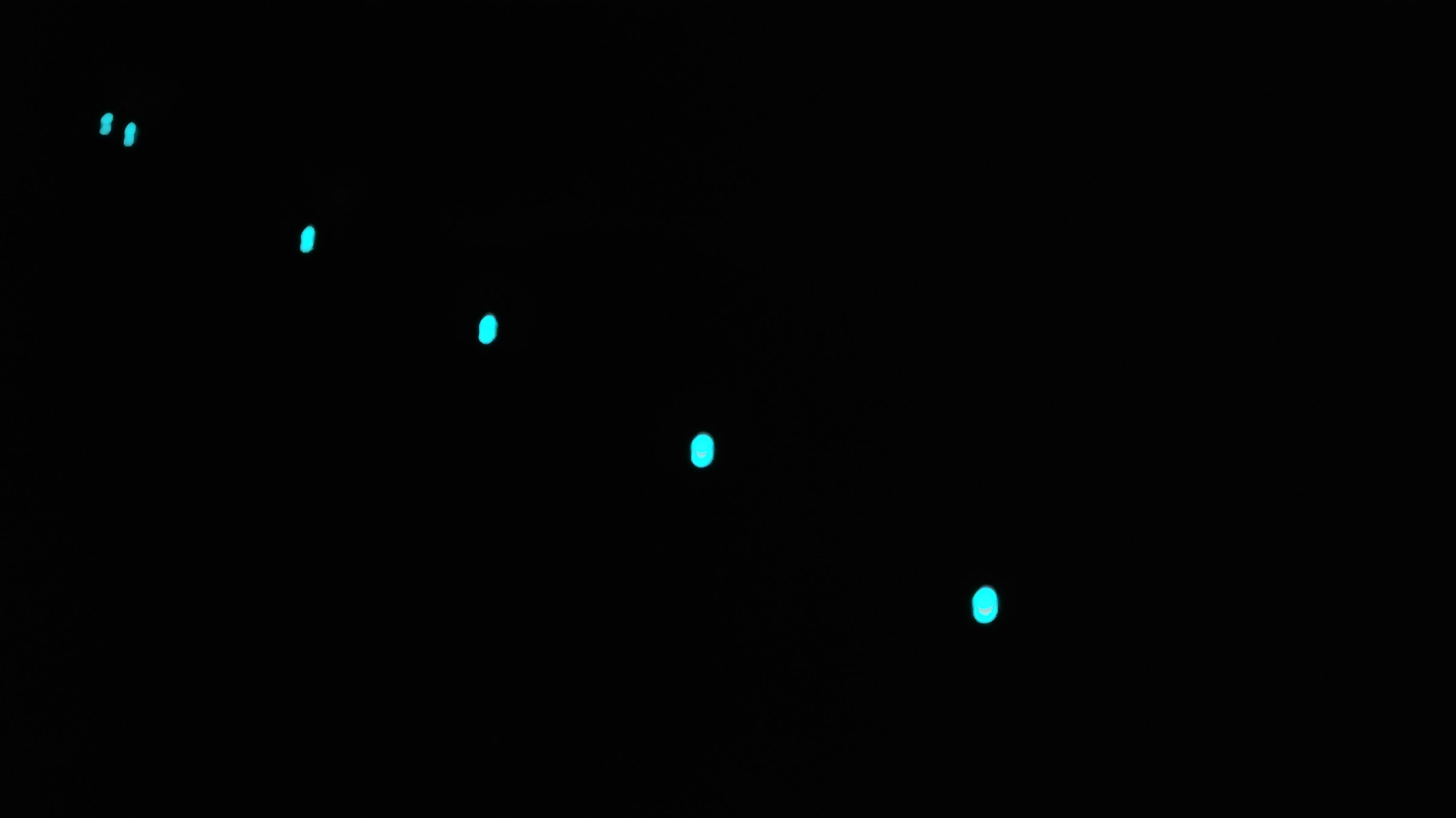 20220212_223653.jpg