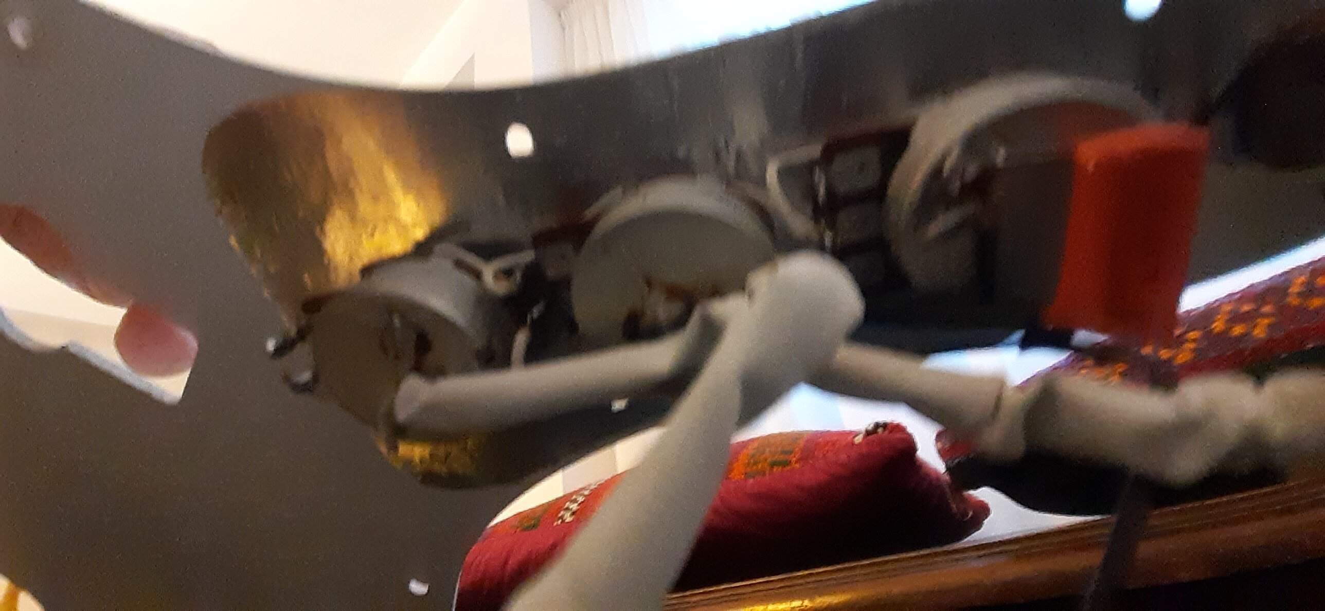20220215_172747.jpg