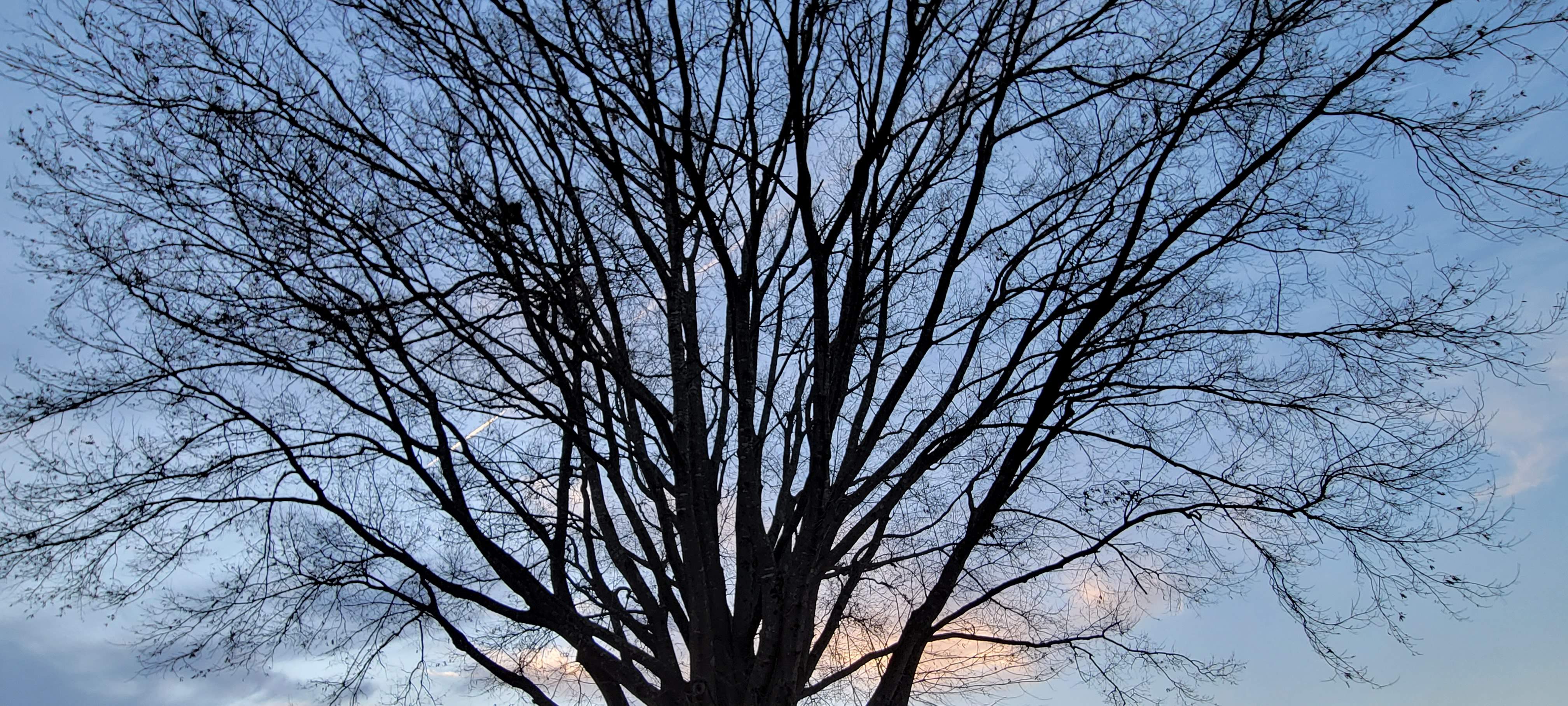 20220217_175124.jpg