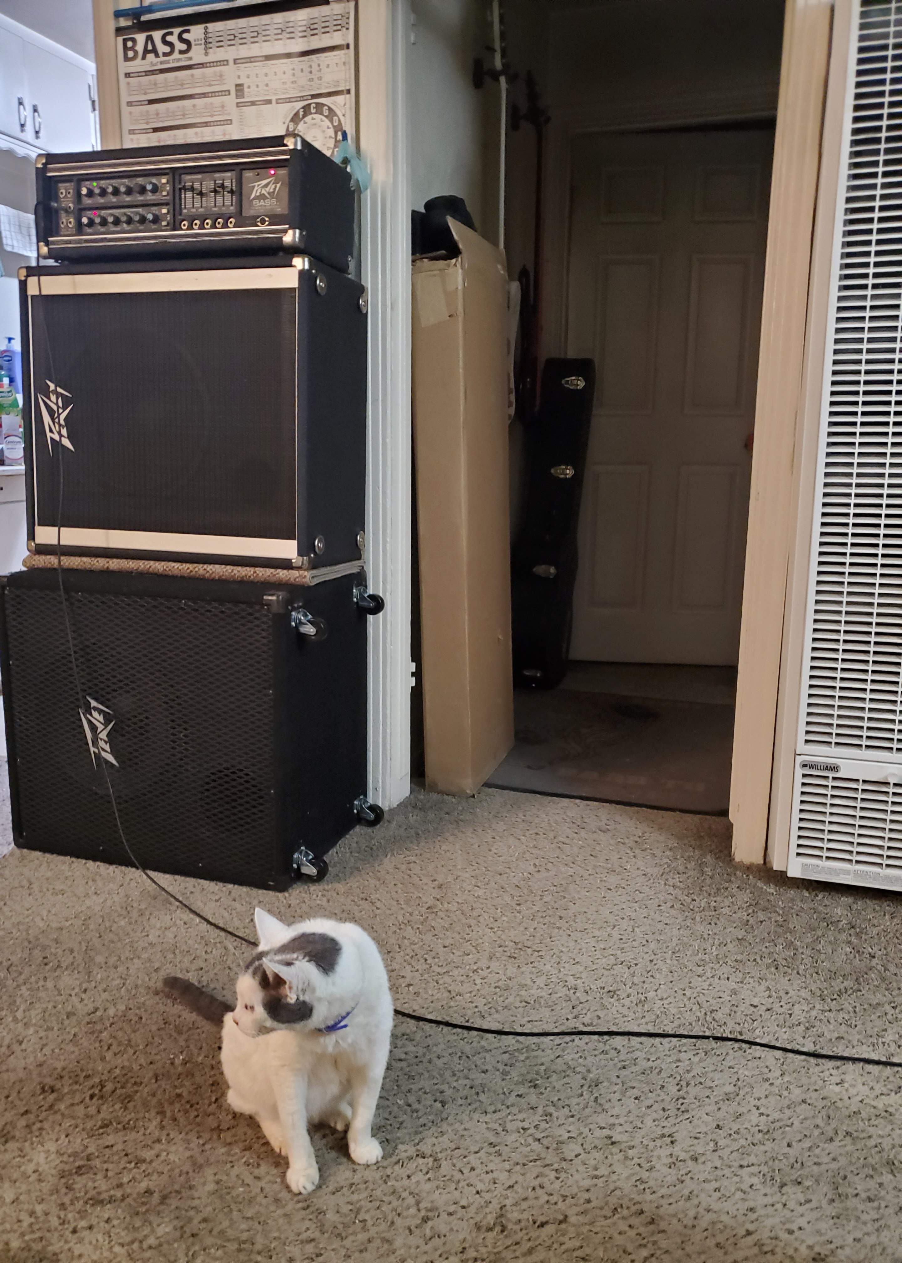 20220319_211252.jpg