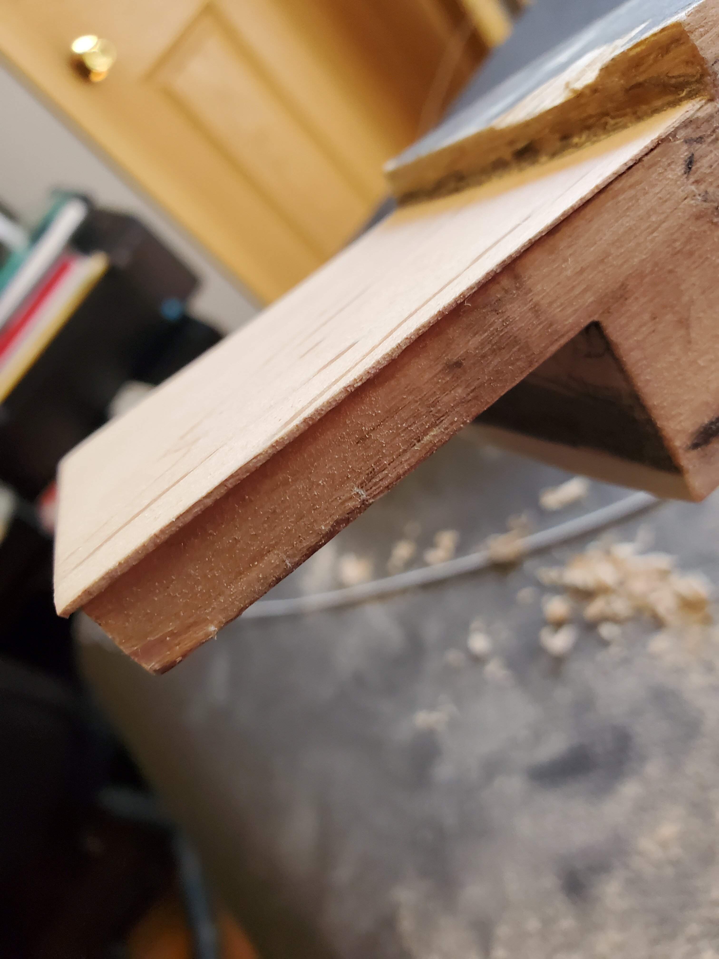 20220320_150553.jpg