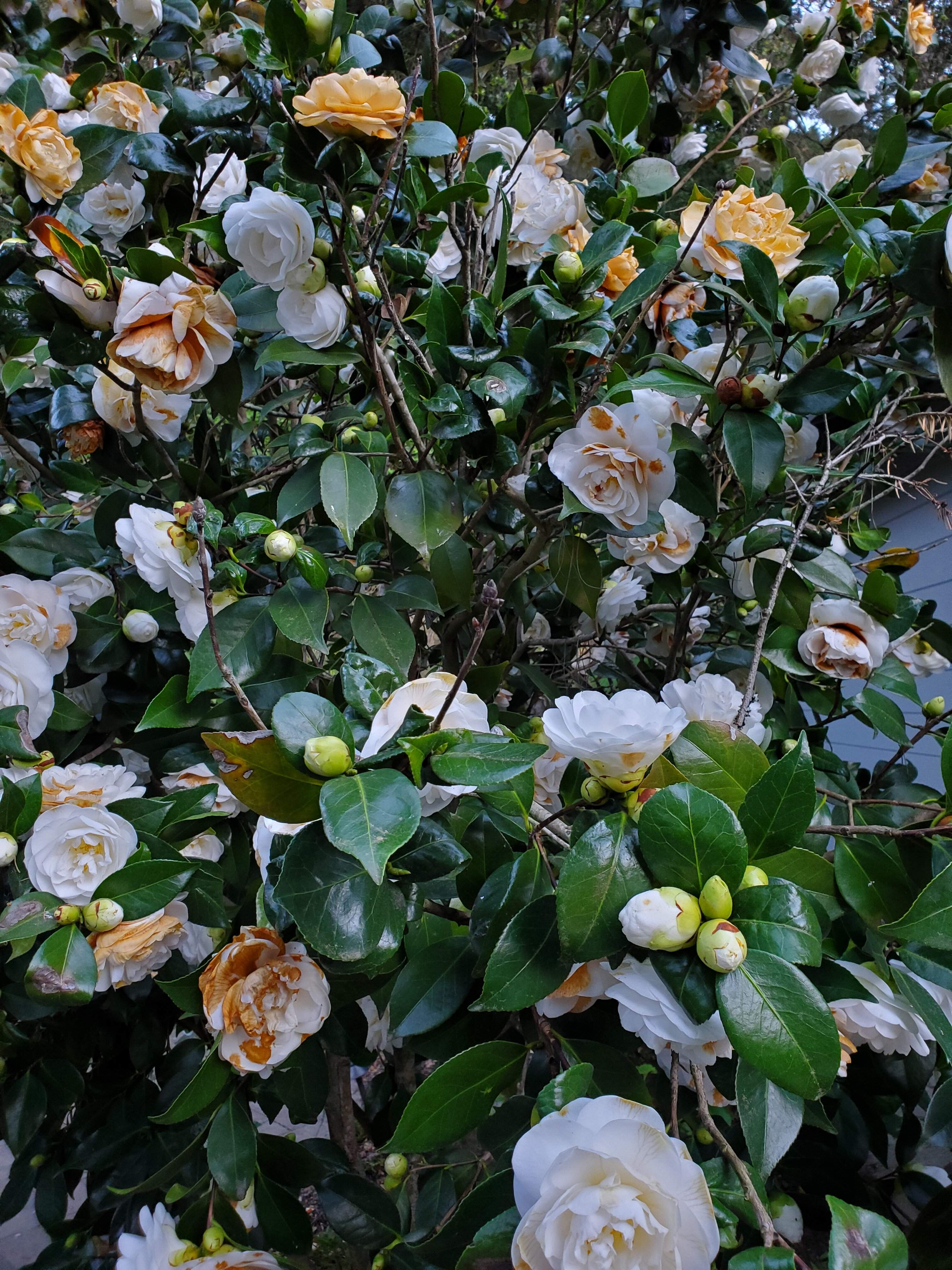 20220322_185032.jpg