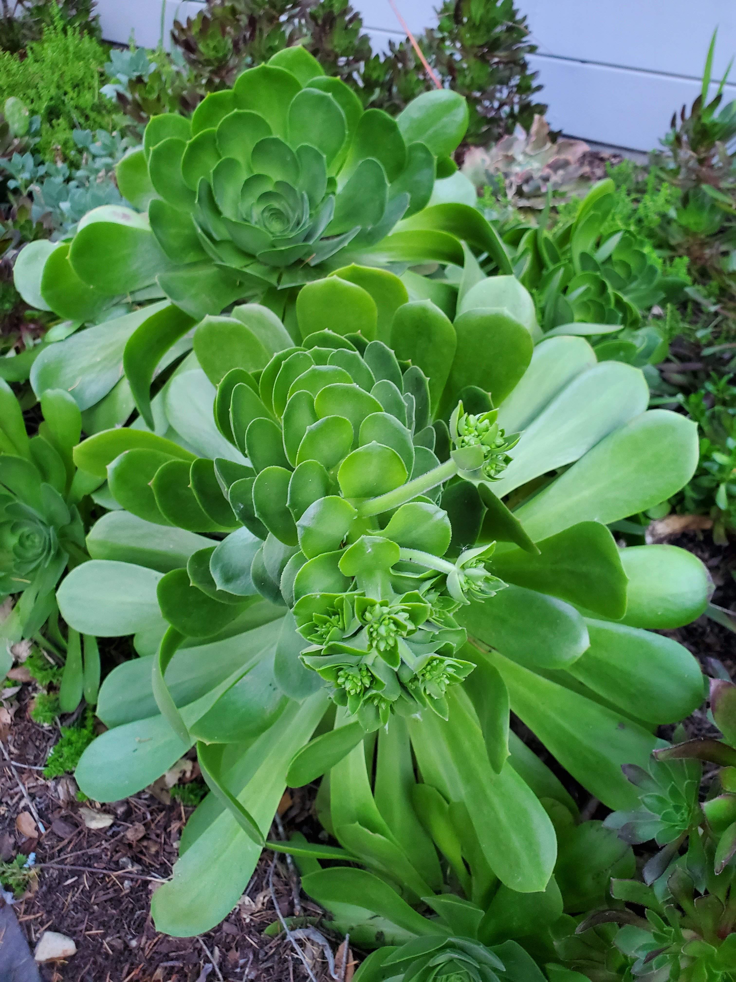 20220322_185047.jpg