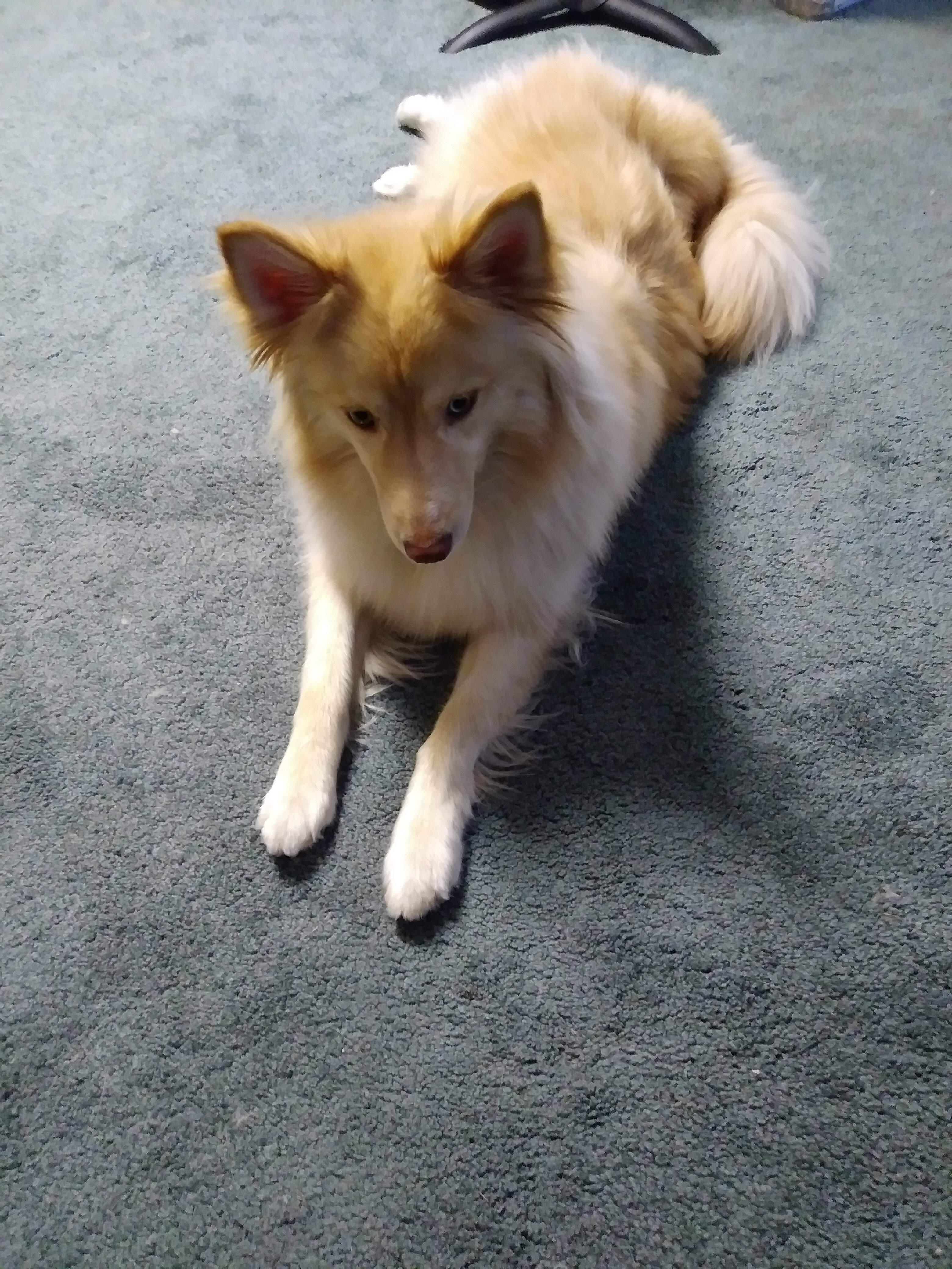 20220324_190932.jpg