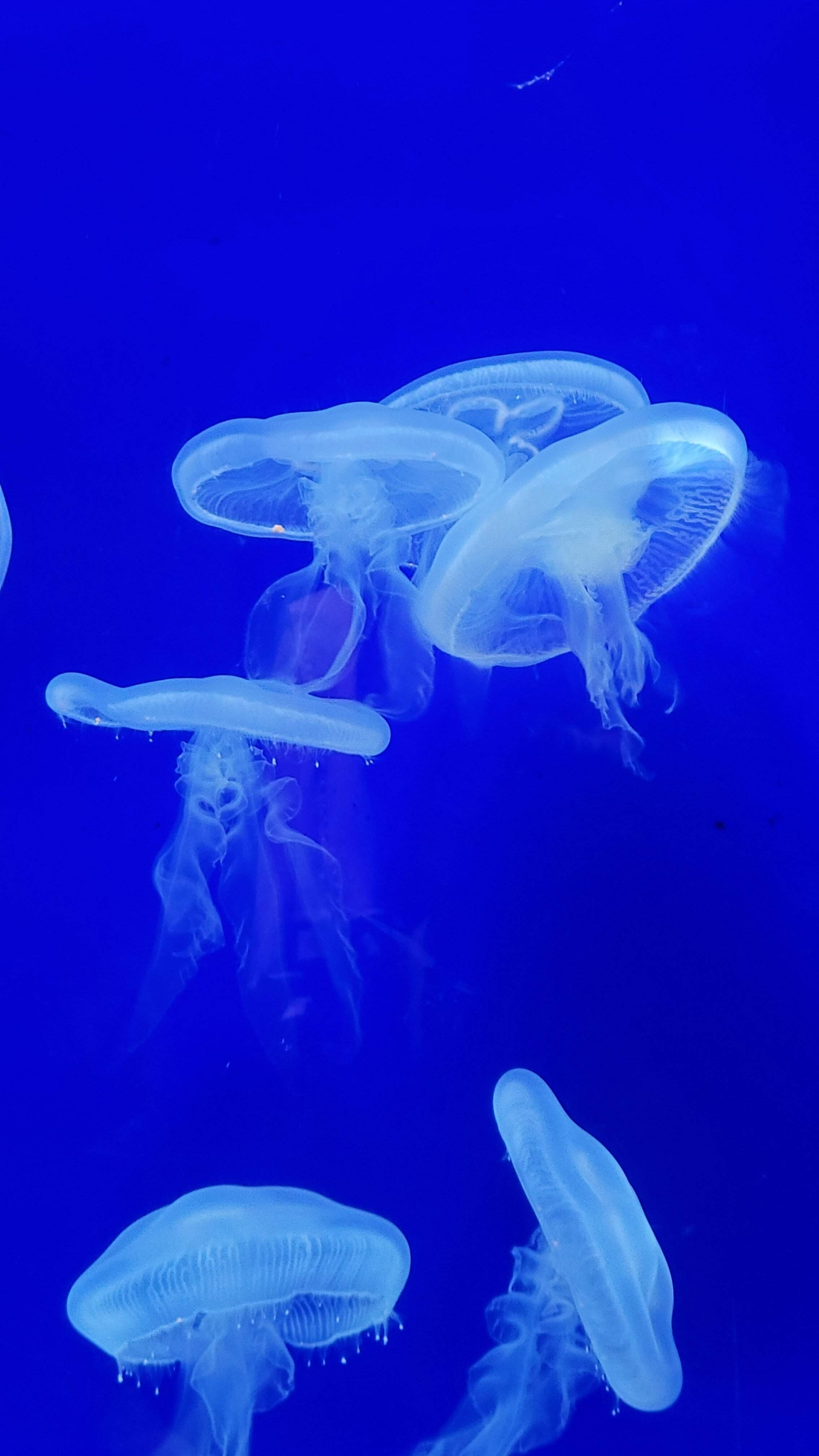 20220415_132423.jpg