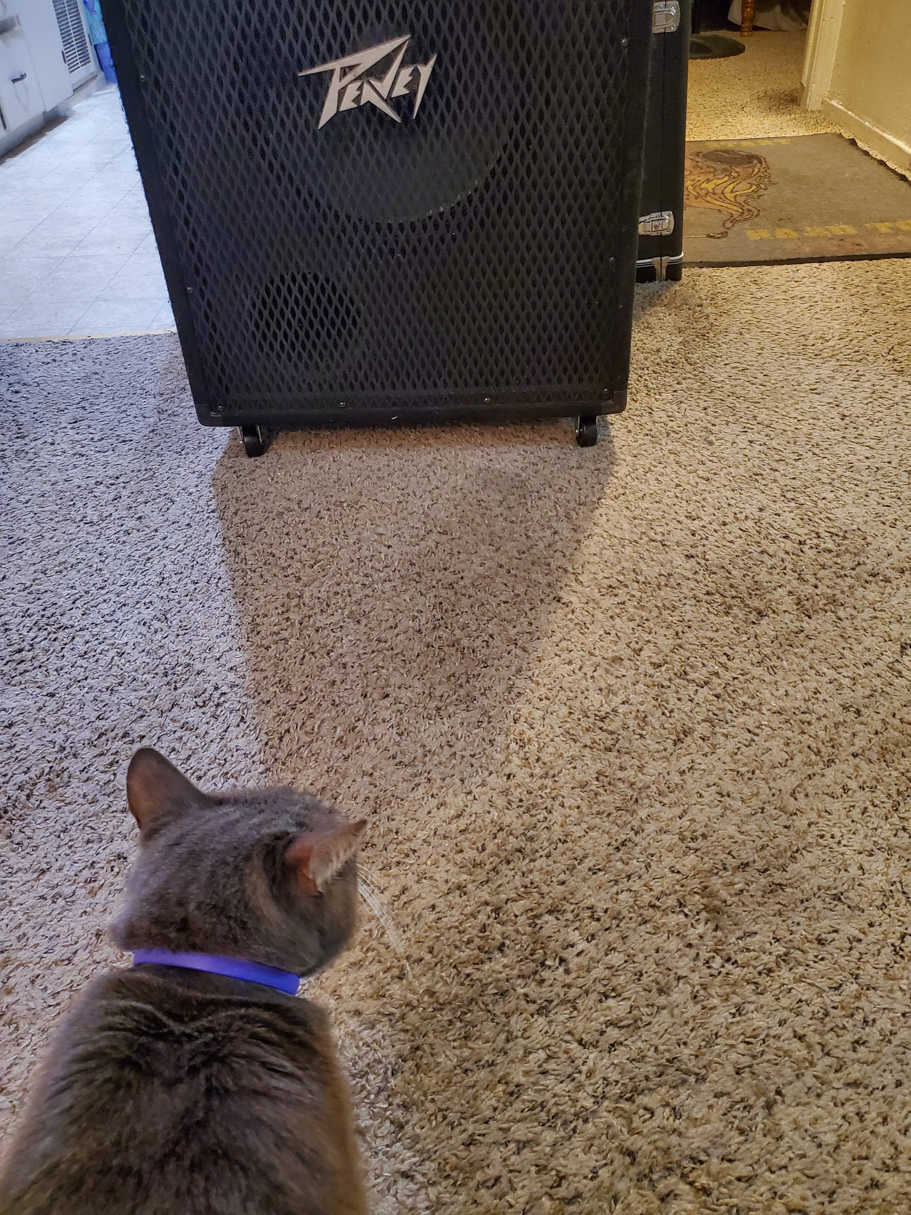20220424_035430.jpg
