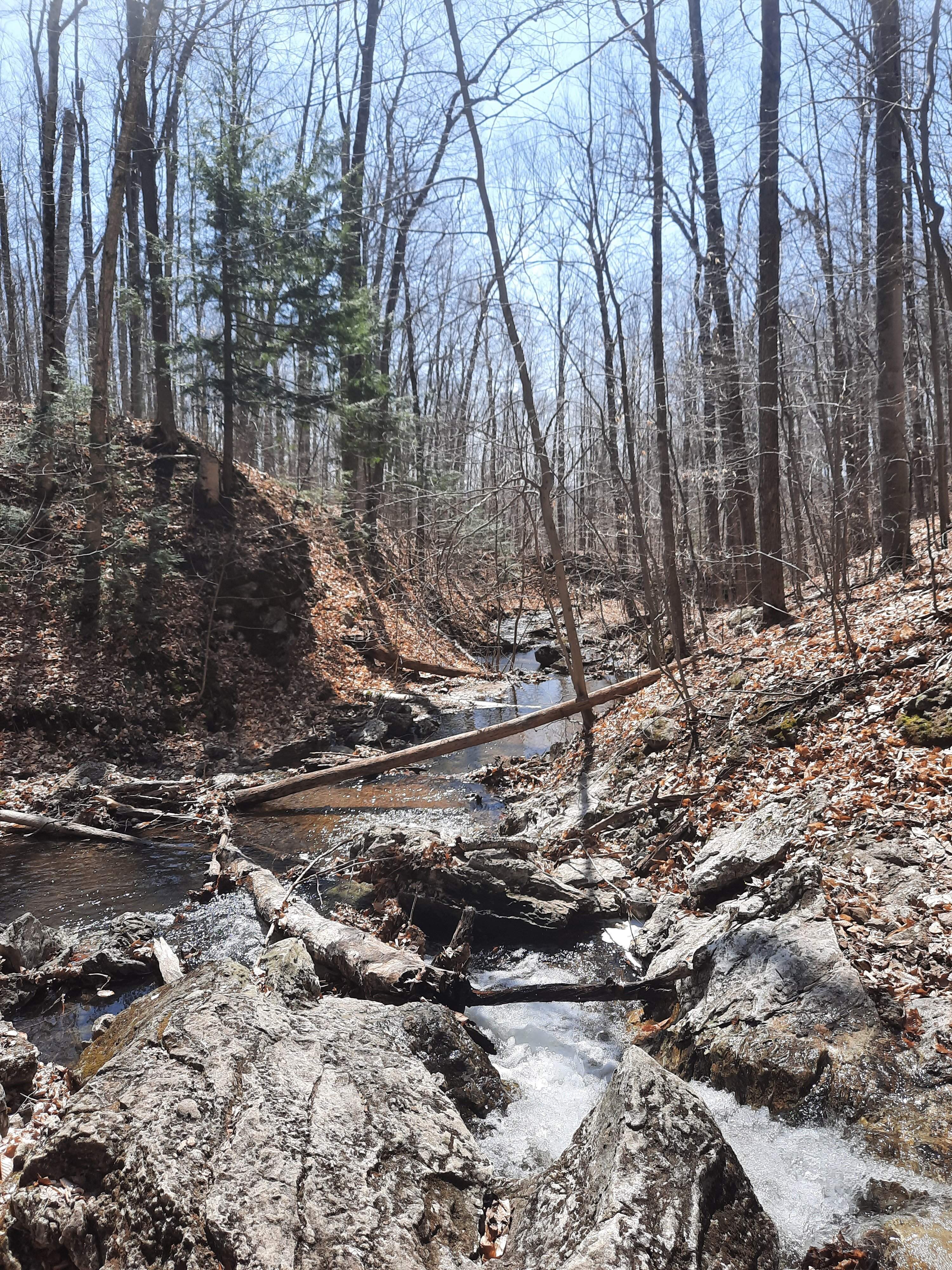 20220430_135750.jpg