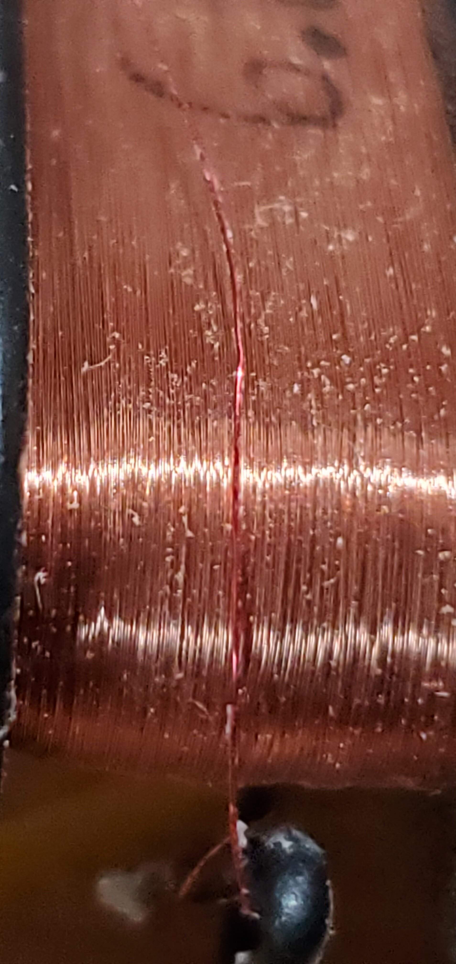20220501_164443.jpg