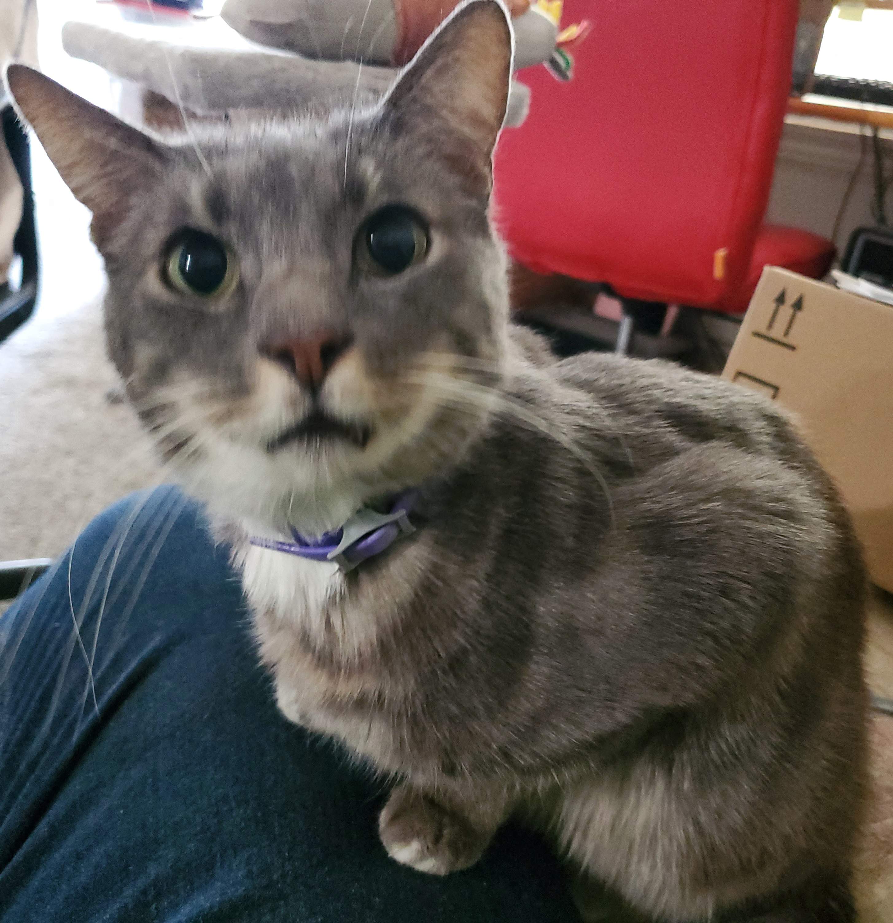 20220512_193904.jpg