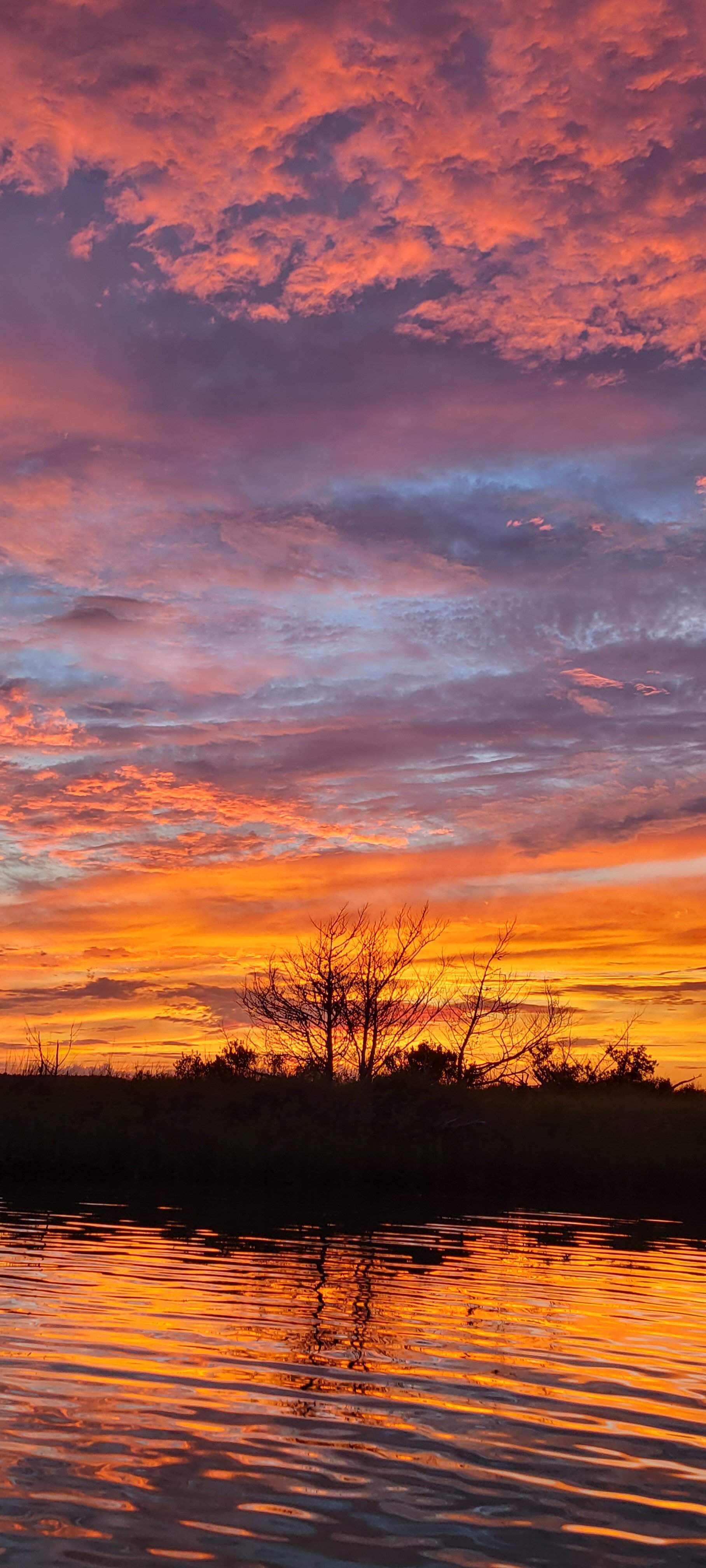 20220629_203546.jpg