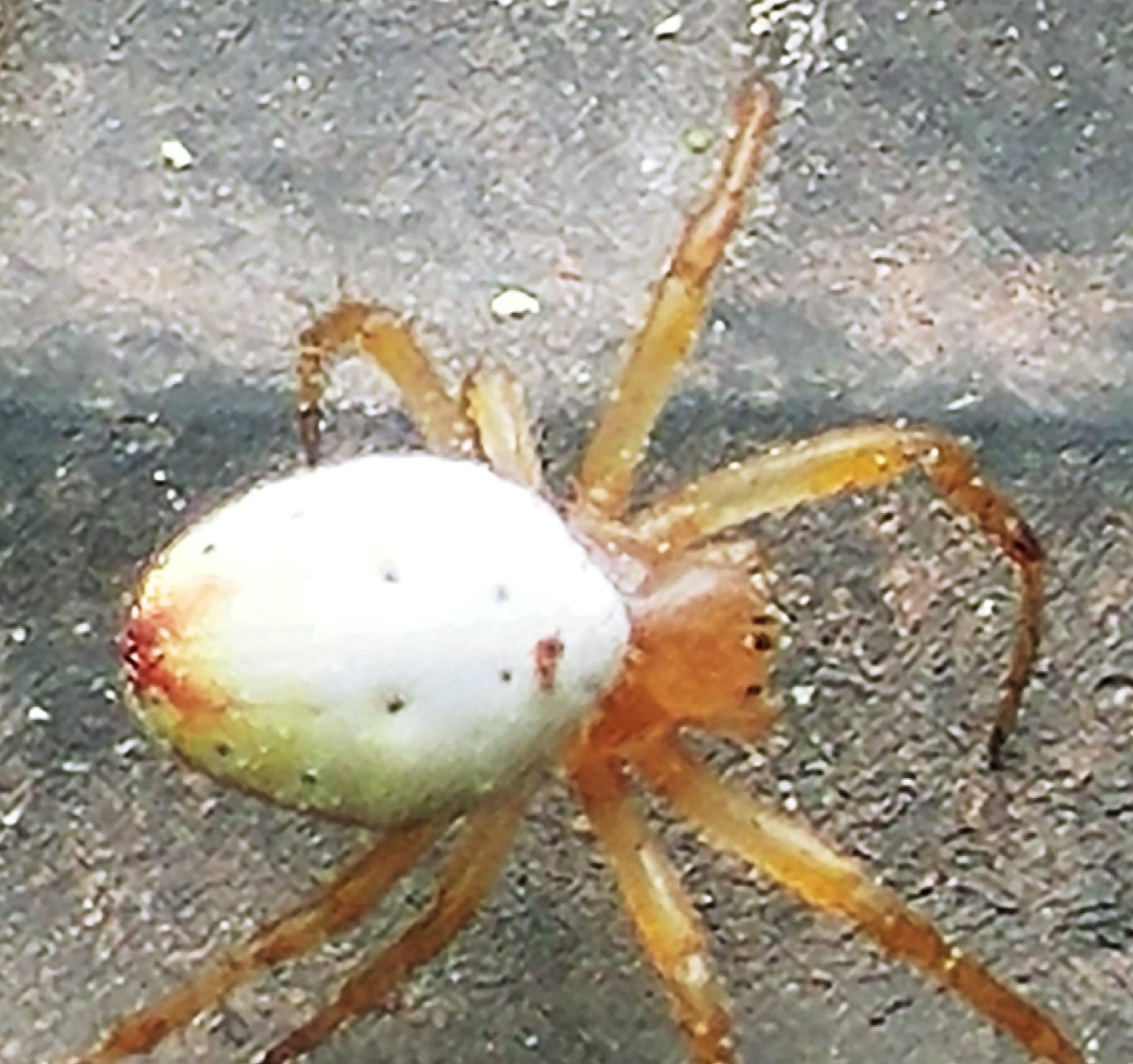20220705_010043.jpg