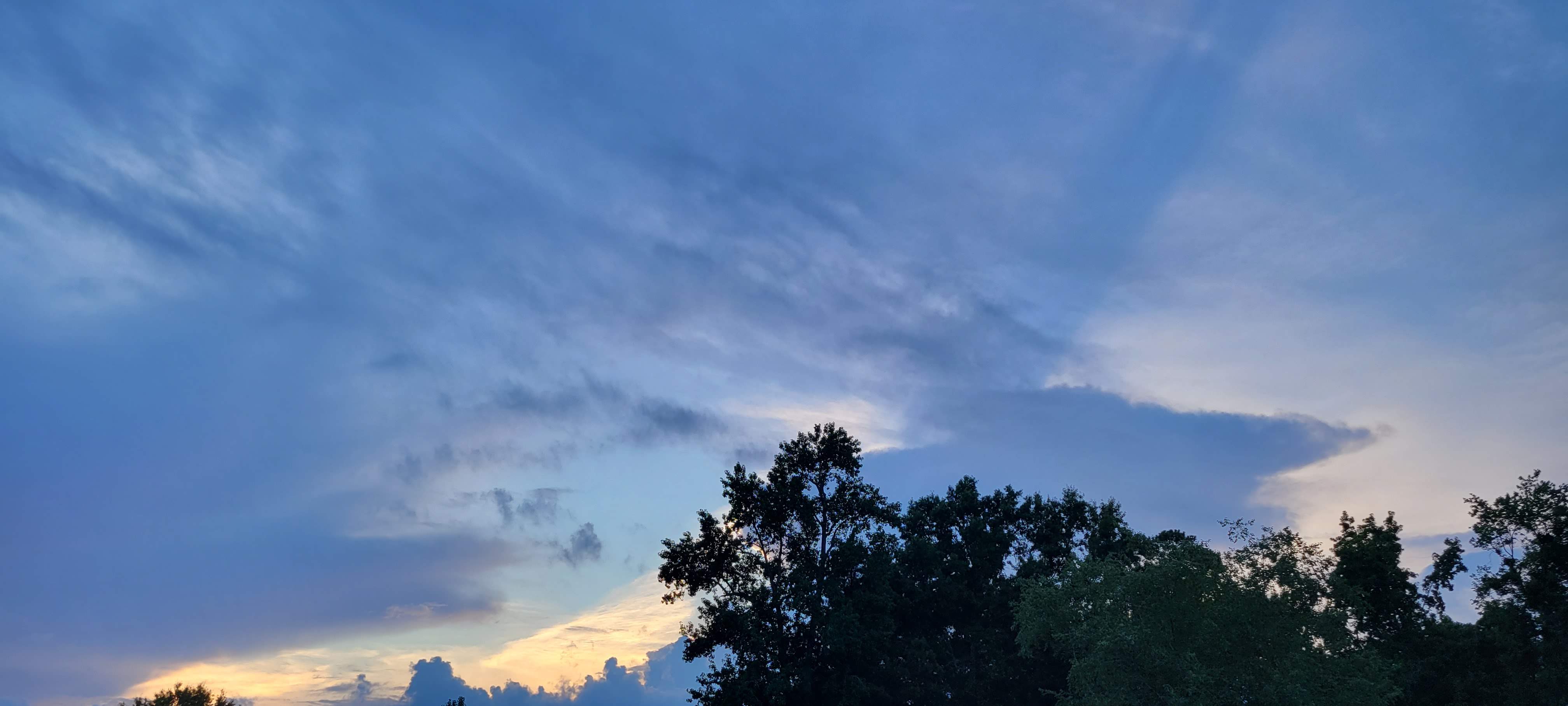 20220716_201506.jpg