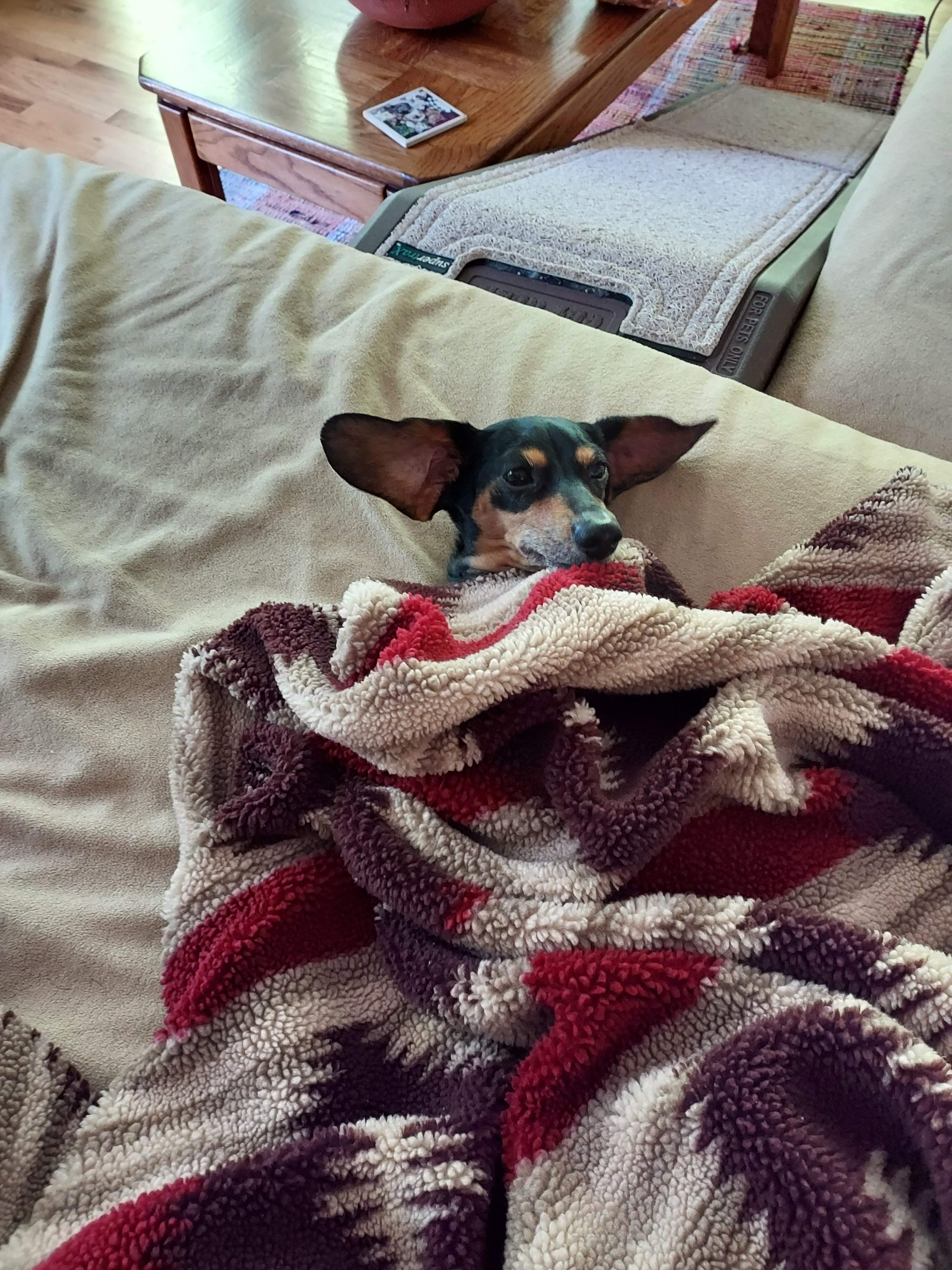 20220723_090940.jpg