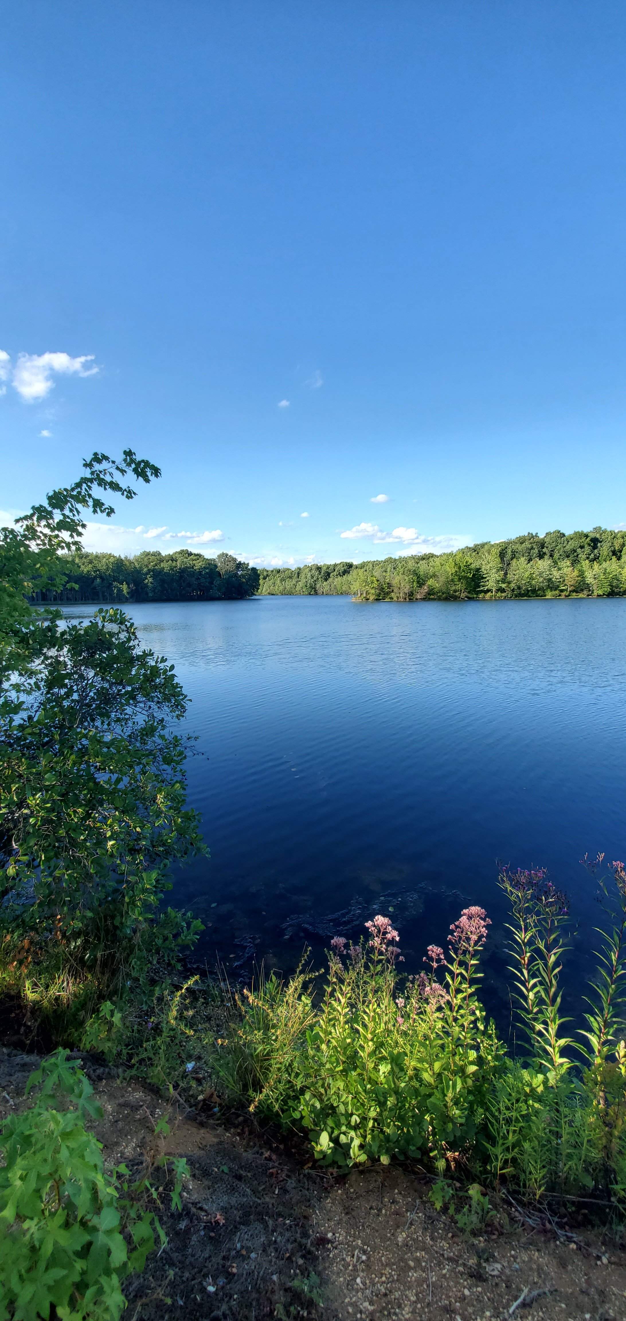 20220807_181331.jpg