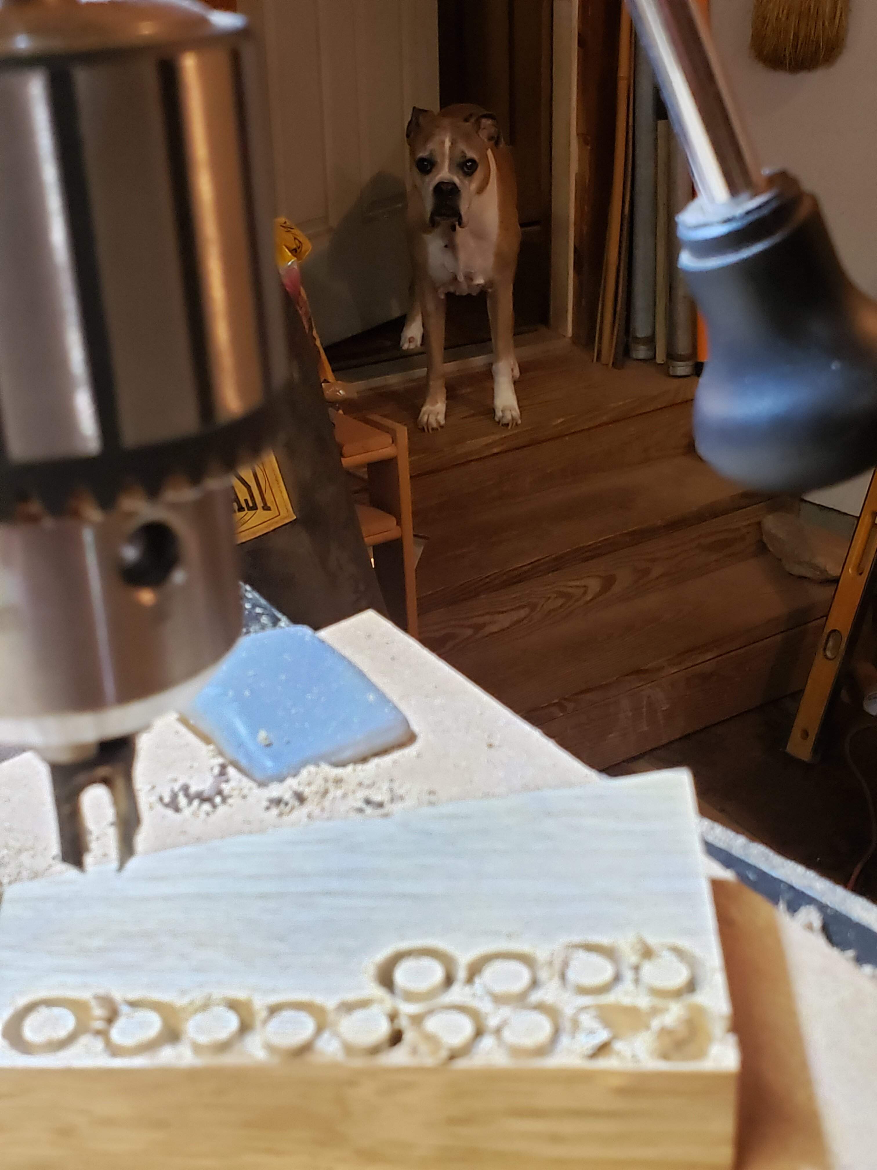 20220809_175418.jpg