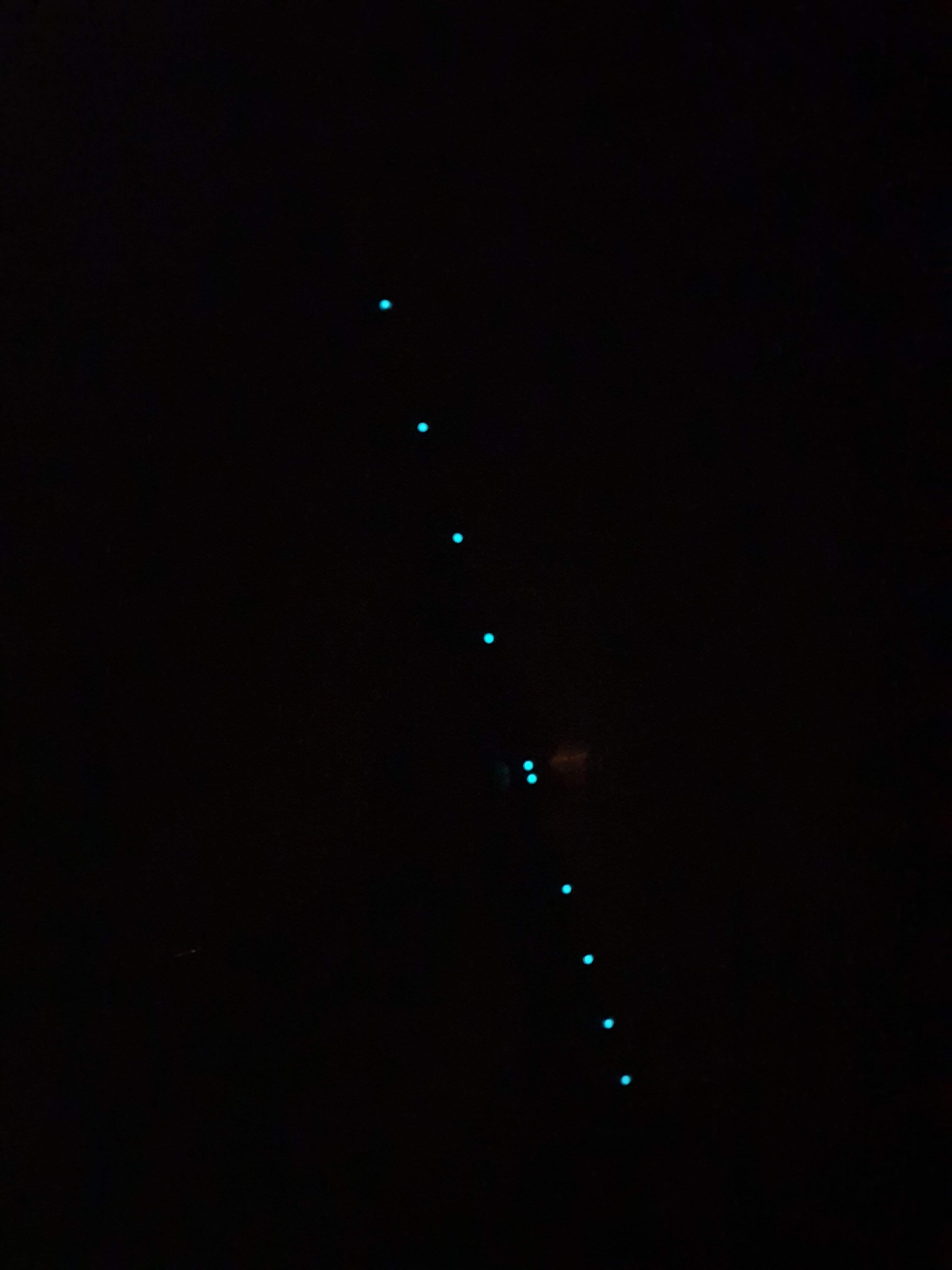 20220818_155903.jpg