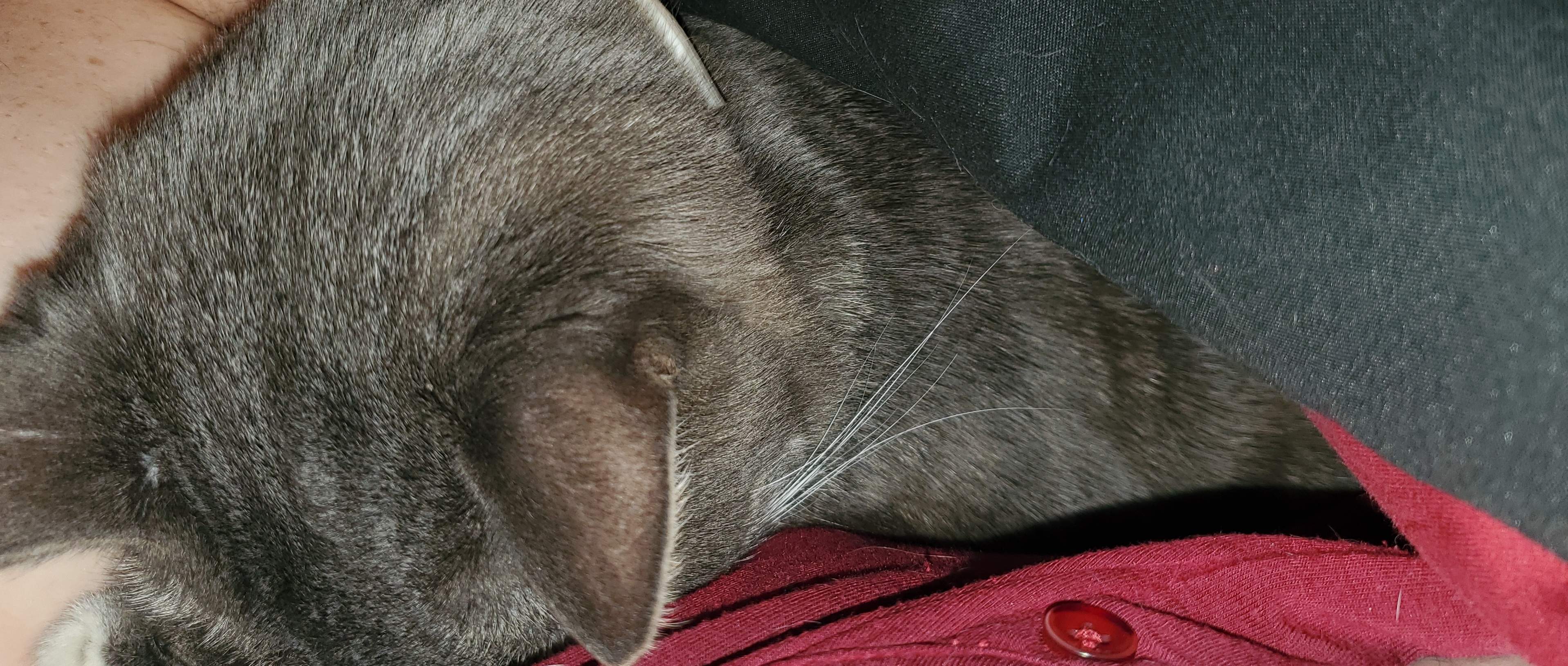 20220926_171912.jpg