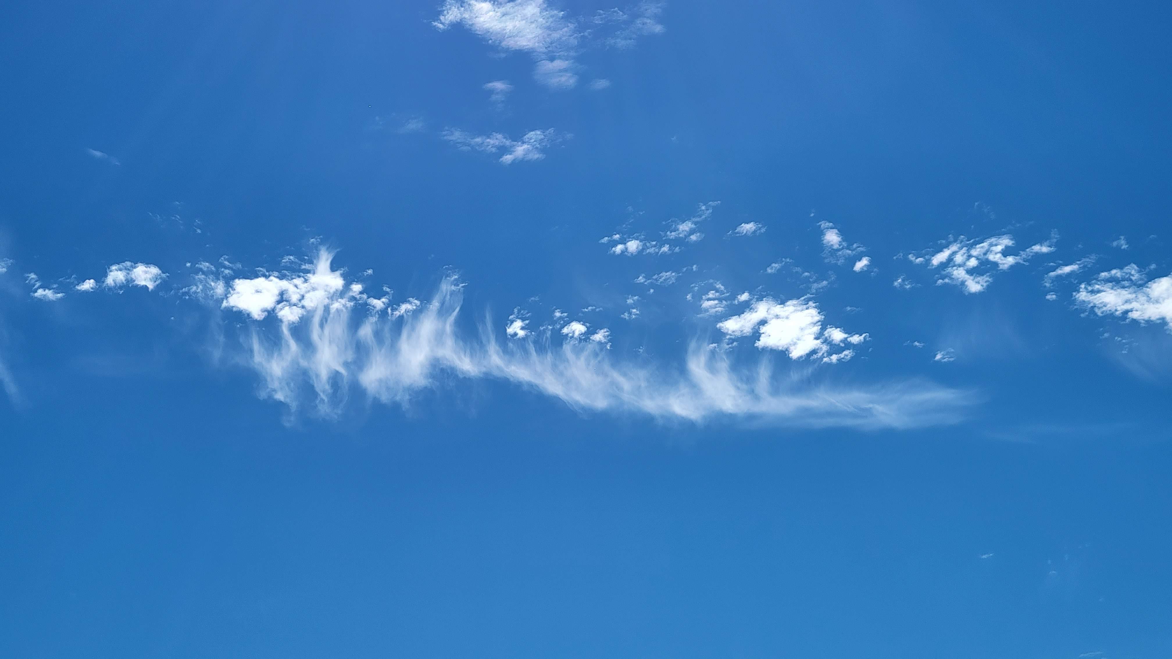20221006_112812.jpg
