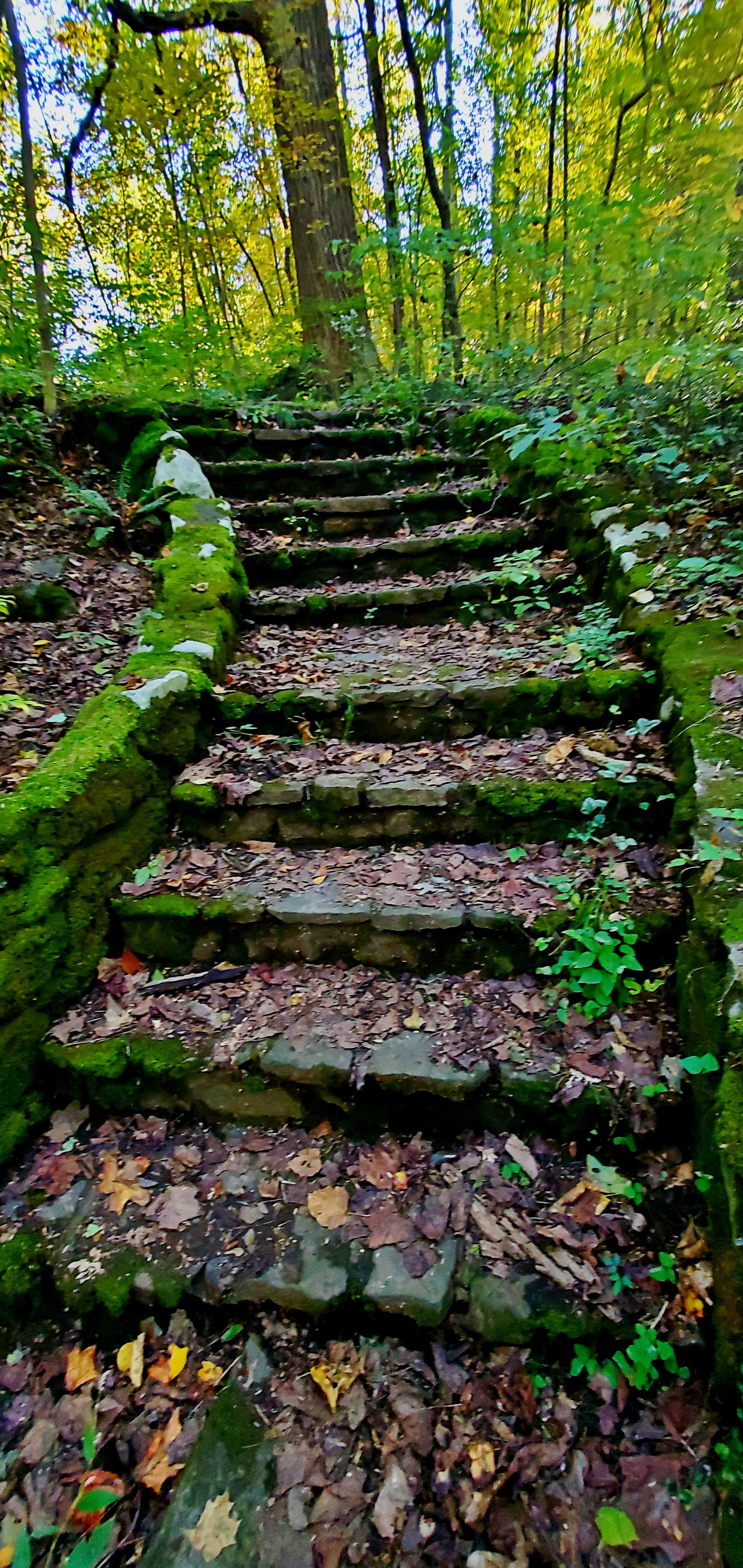 20221009_160005.jpg