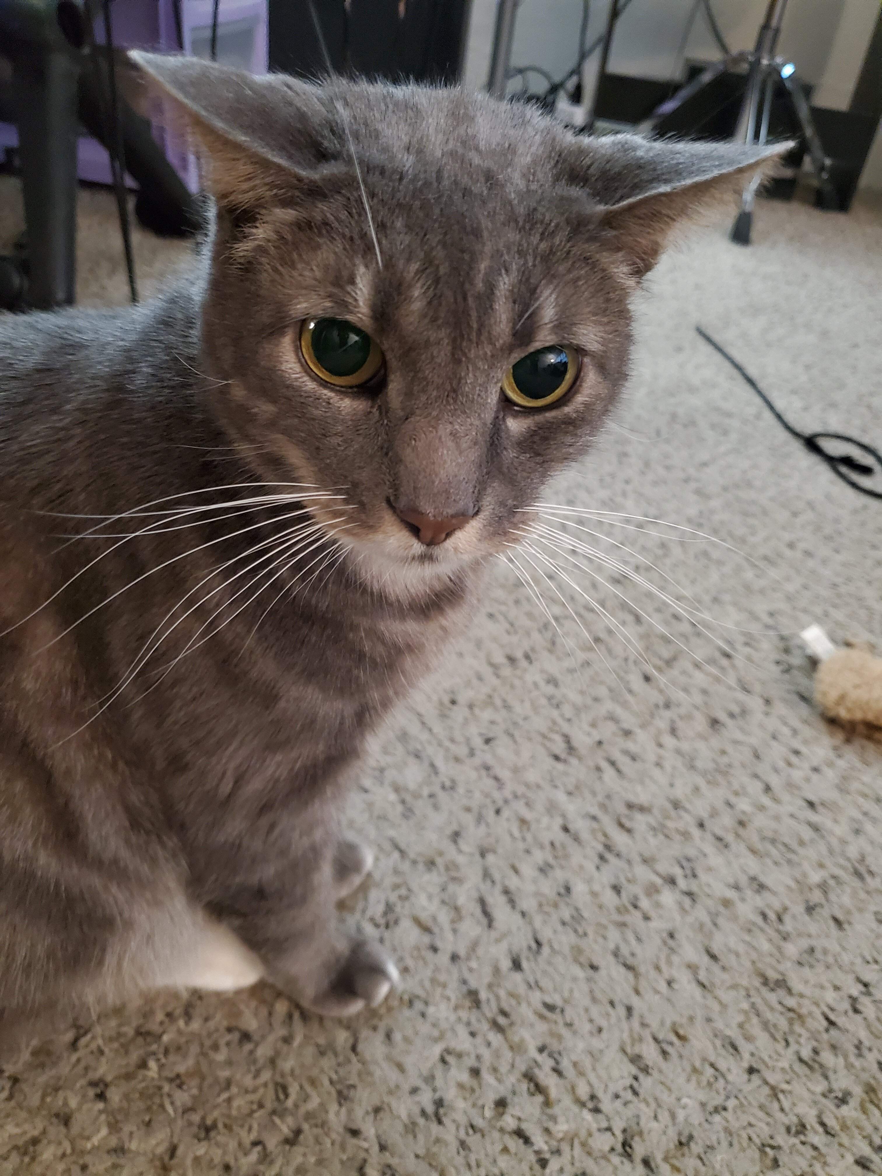 20221025_171150.jpg