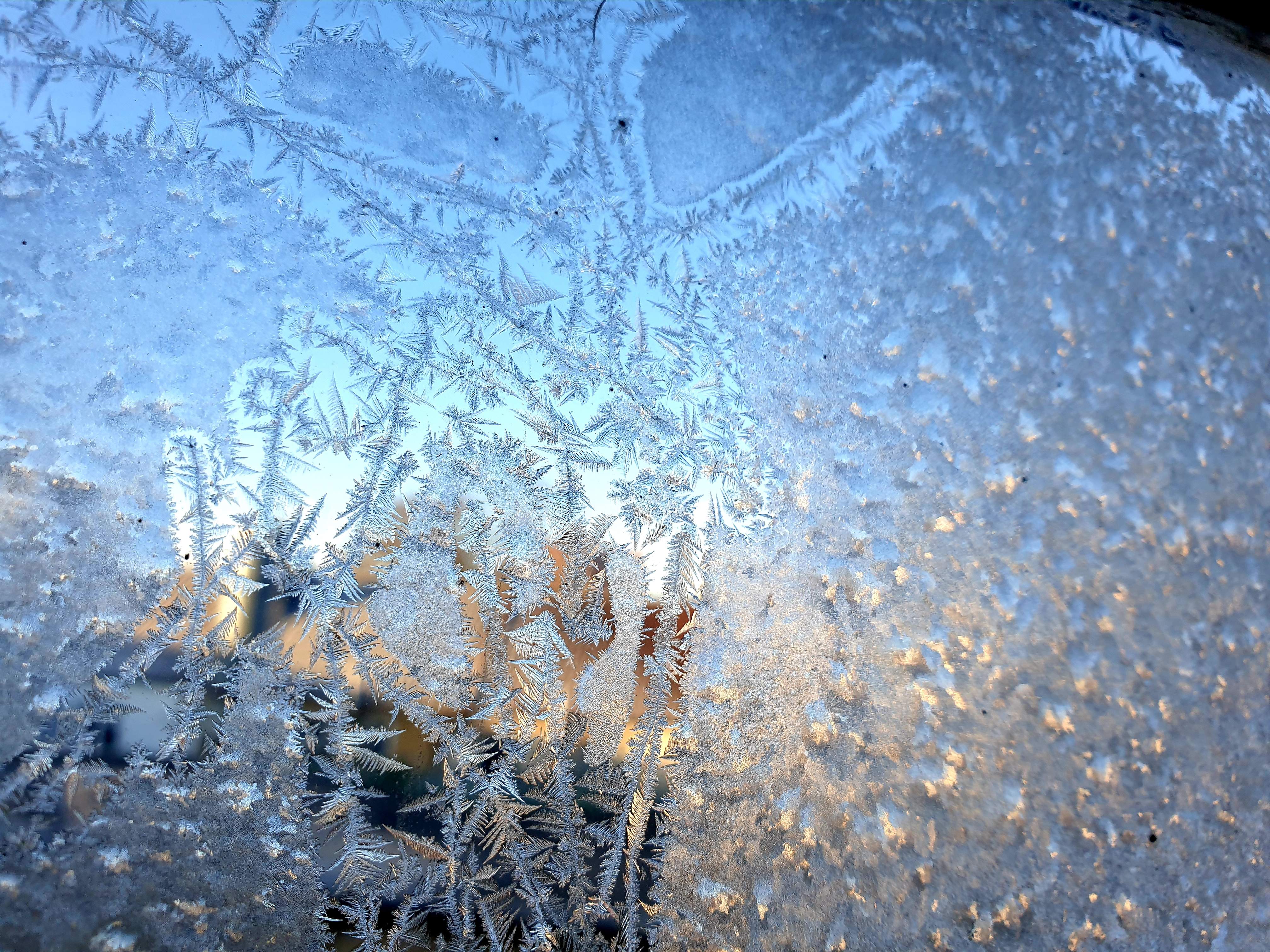20221217_180437.jpg