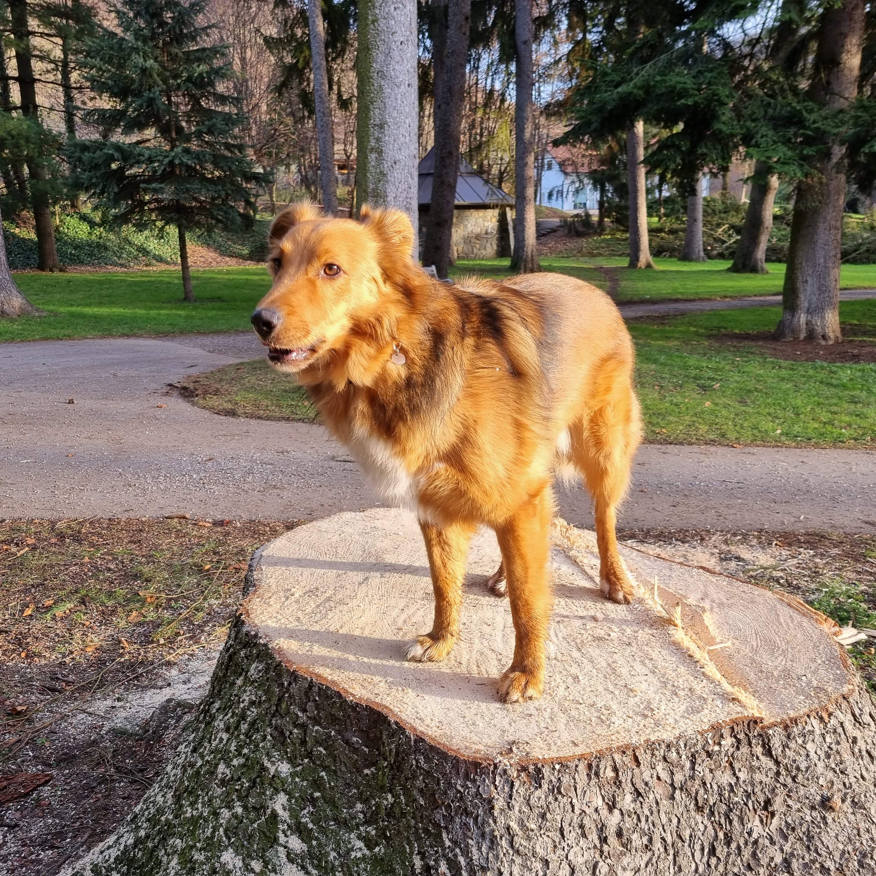 20221226_084427.jpg