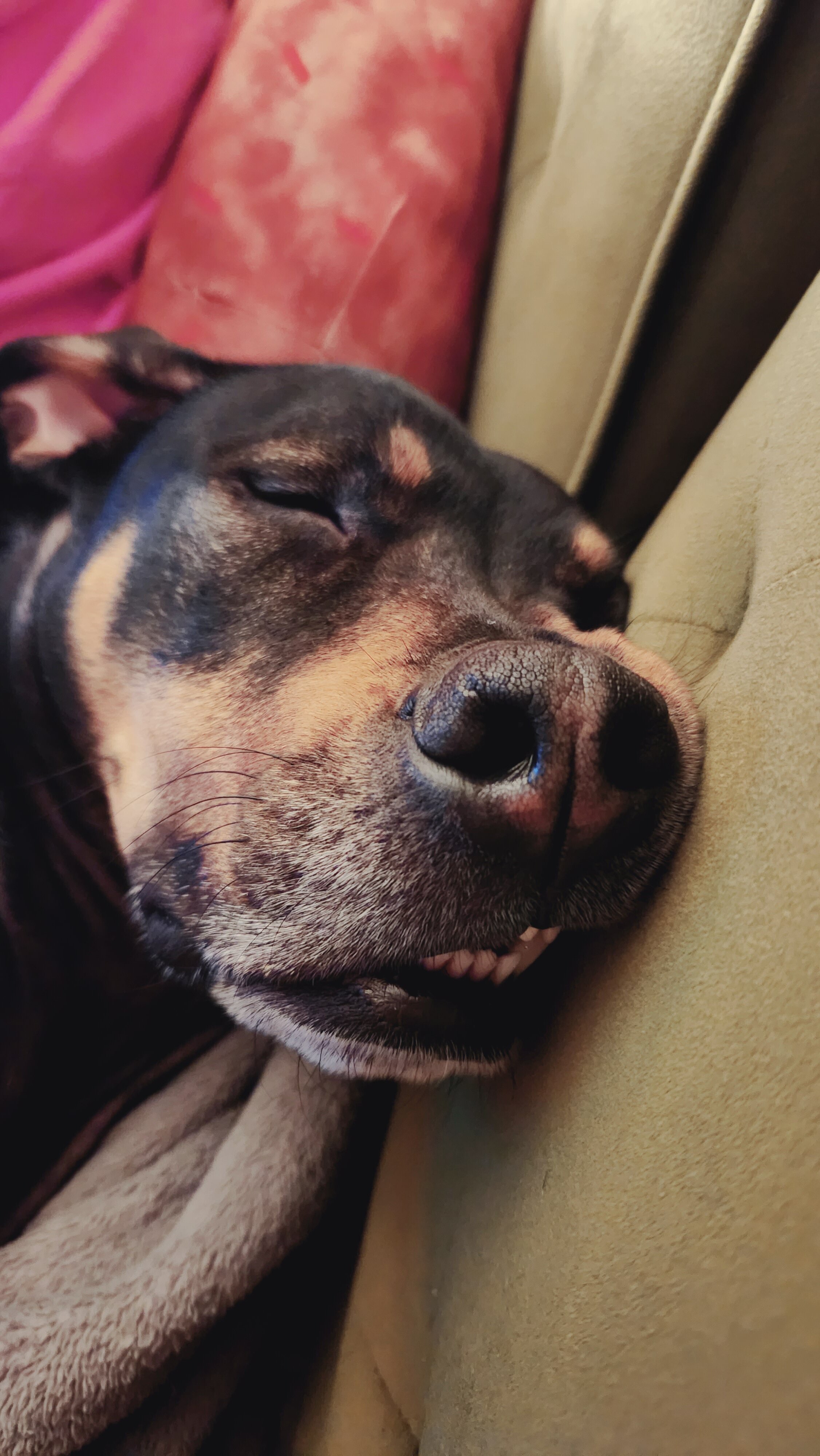 20230123_195129.jpg