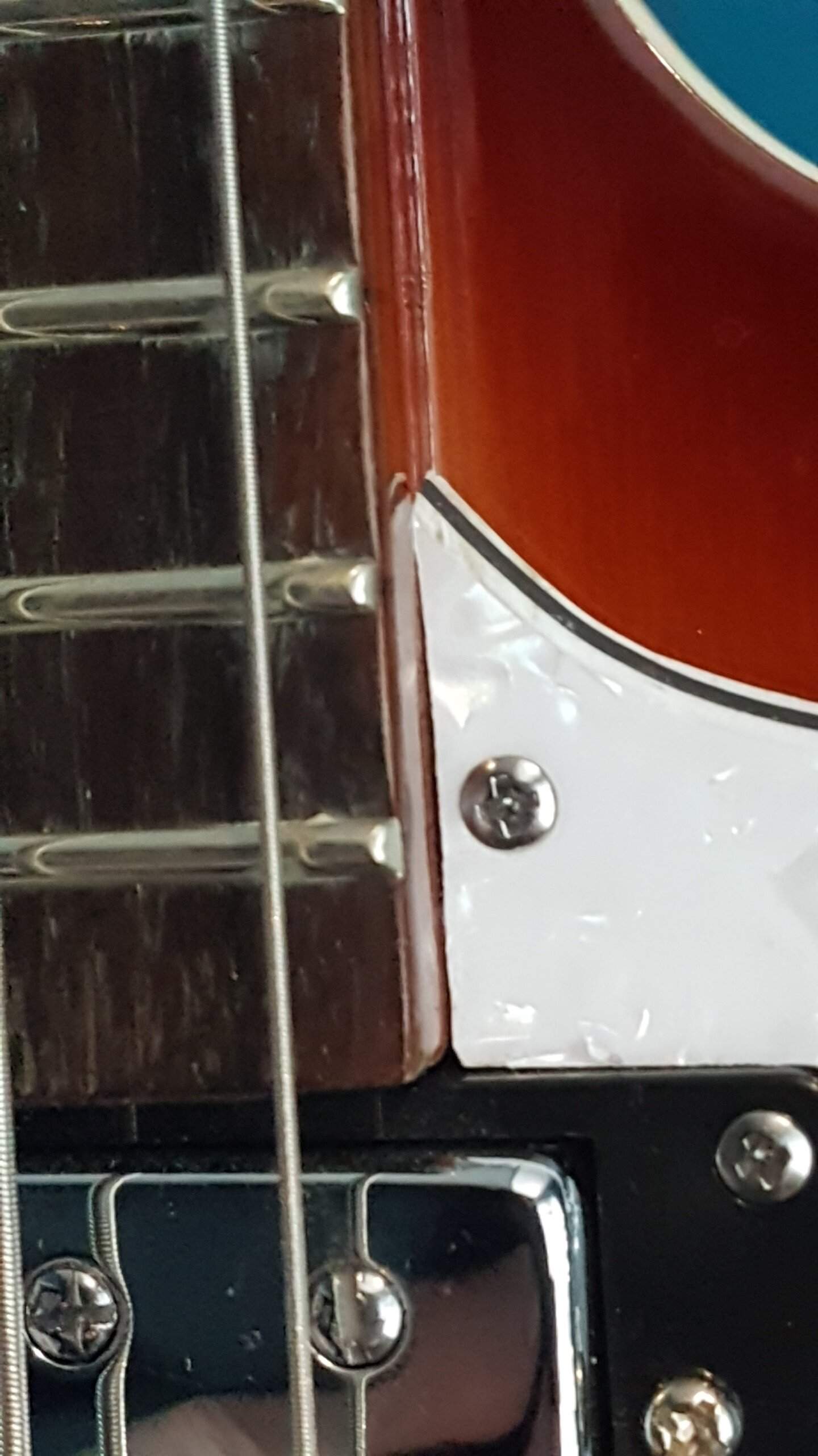 20230124_115239.jpg