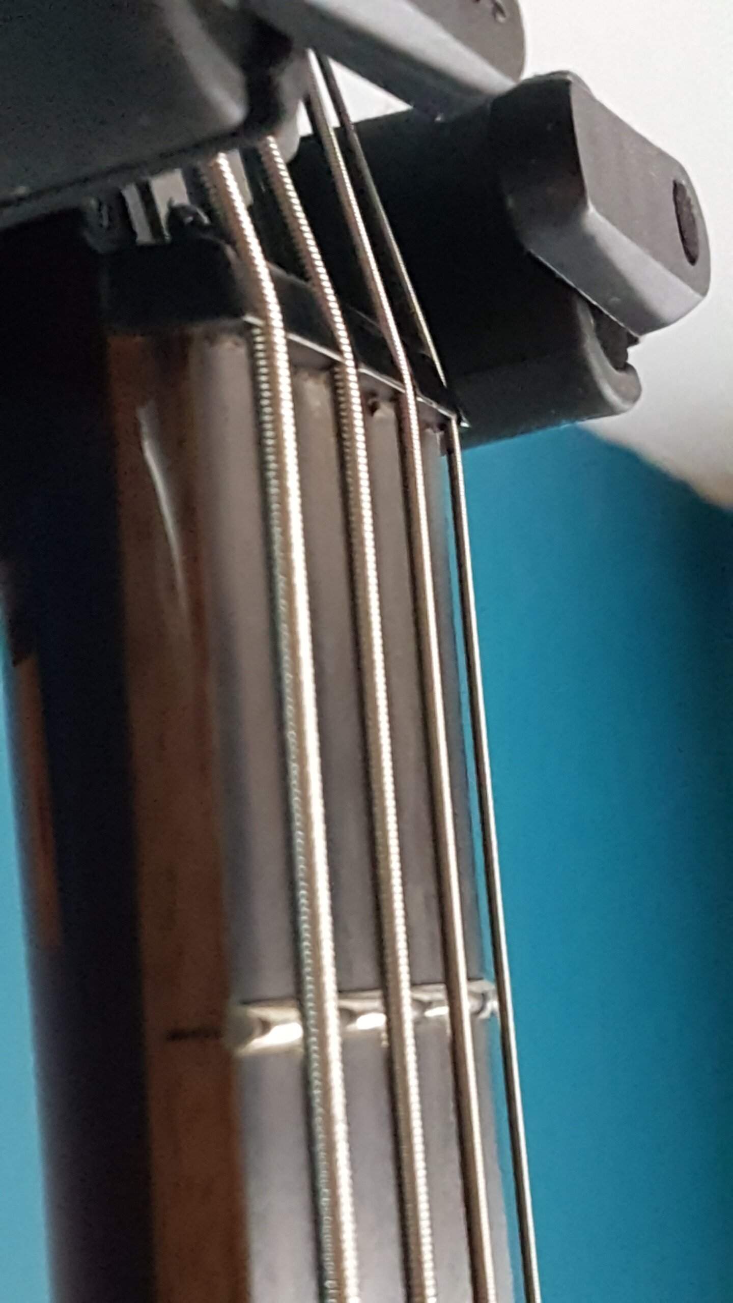 20230124_115252.jpg