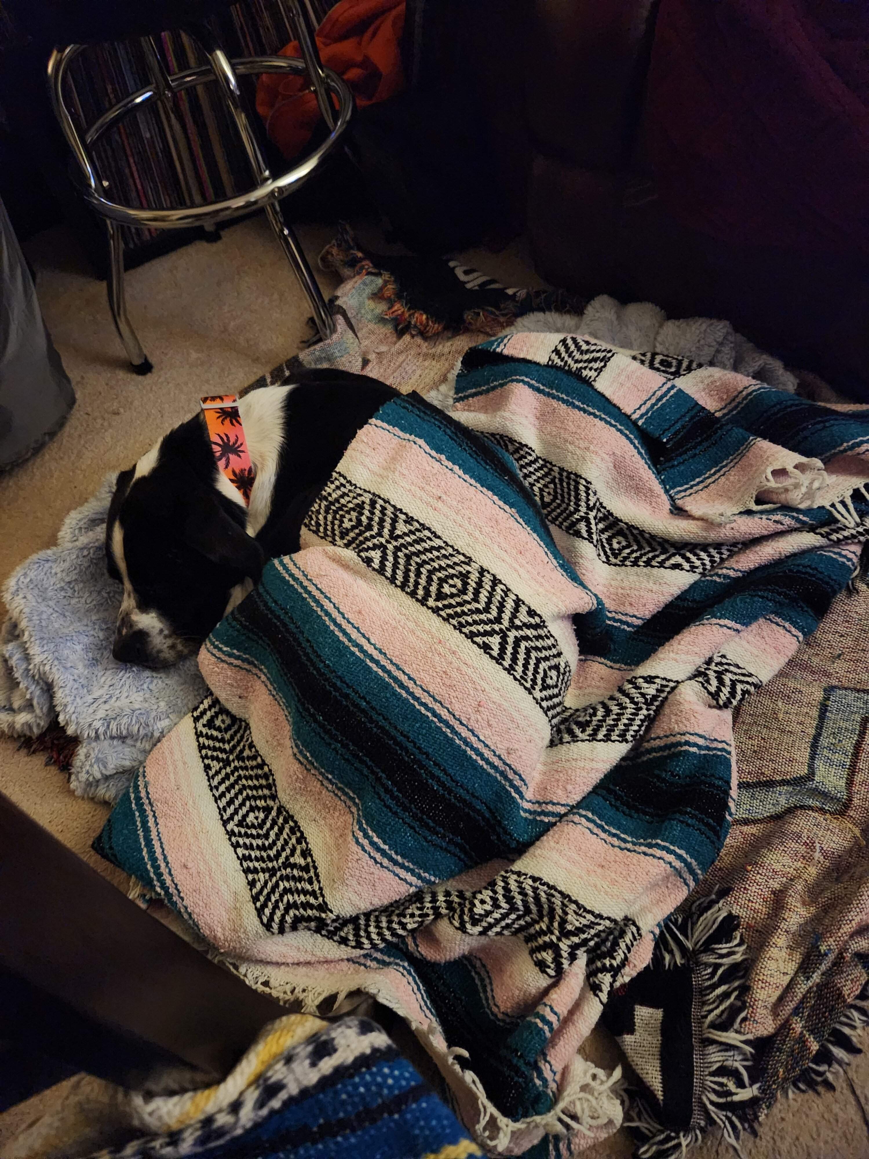 20230130_210714.jpg