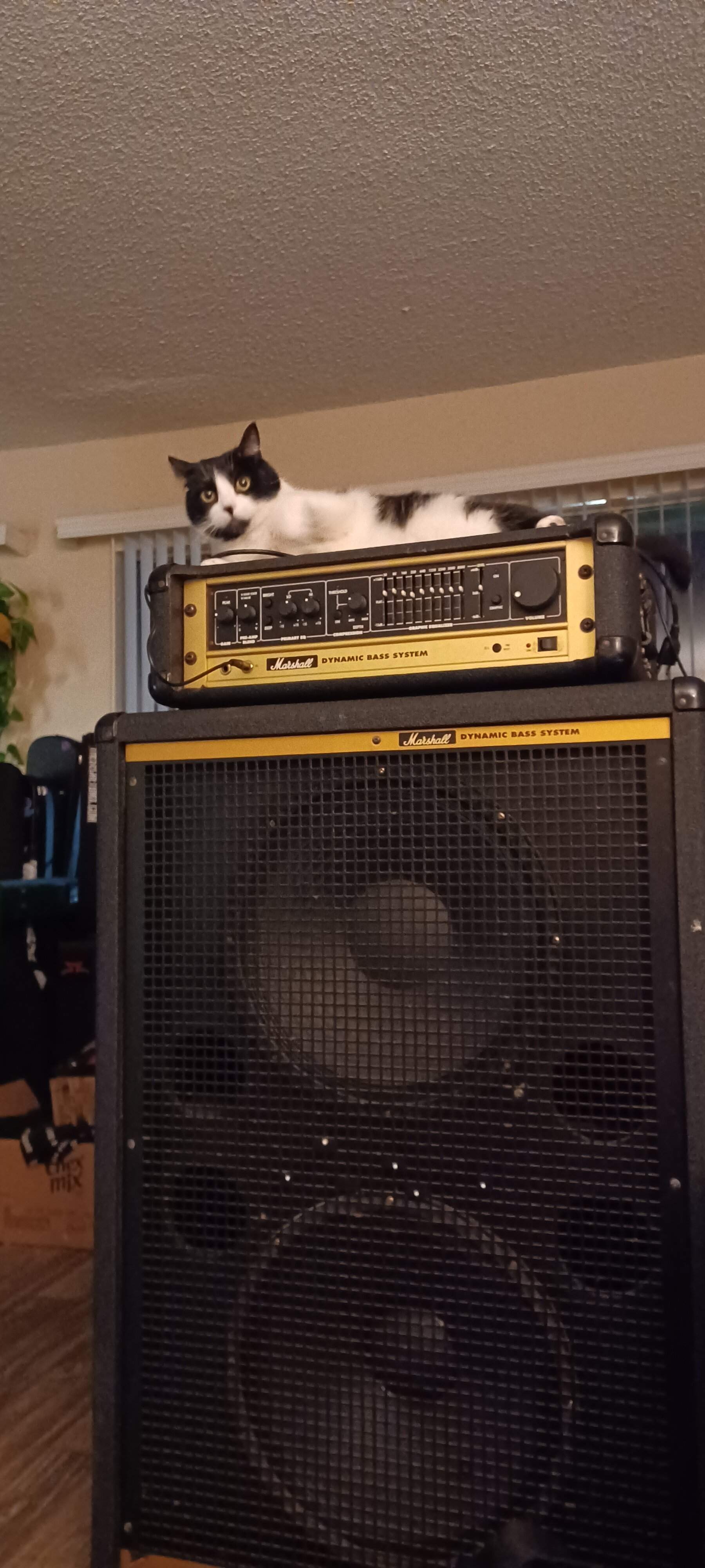 20230211_000057.jpg