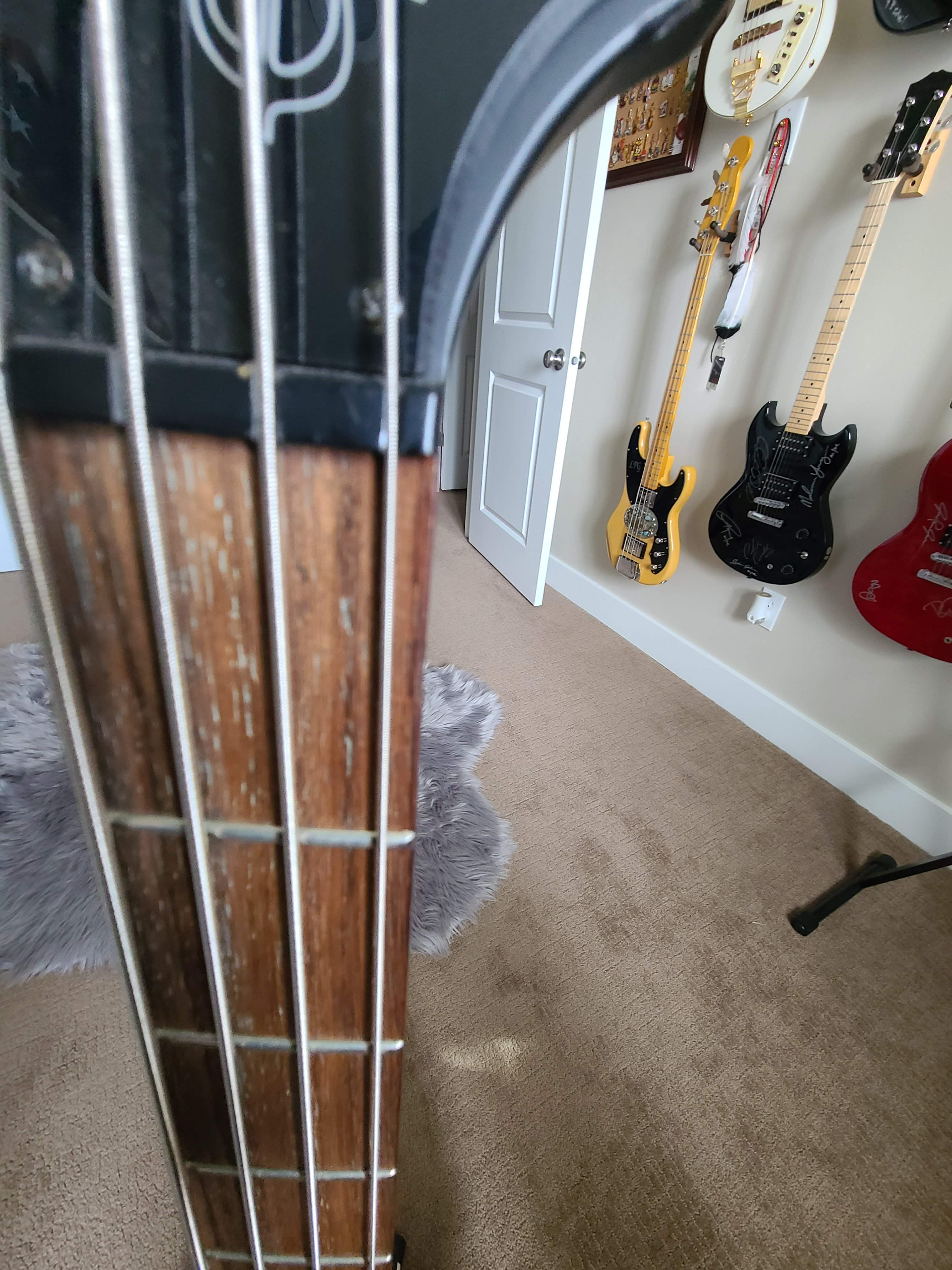20230215_104737.jpg