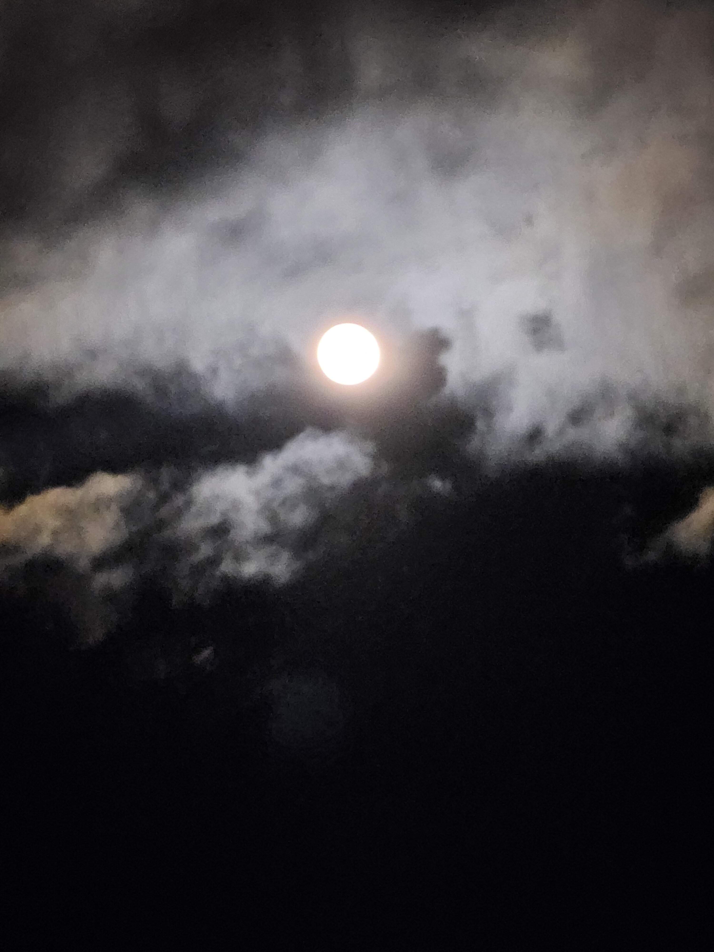 20230307_200953.jpg