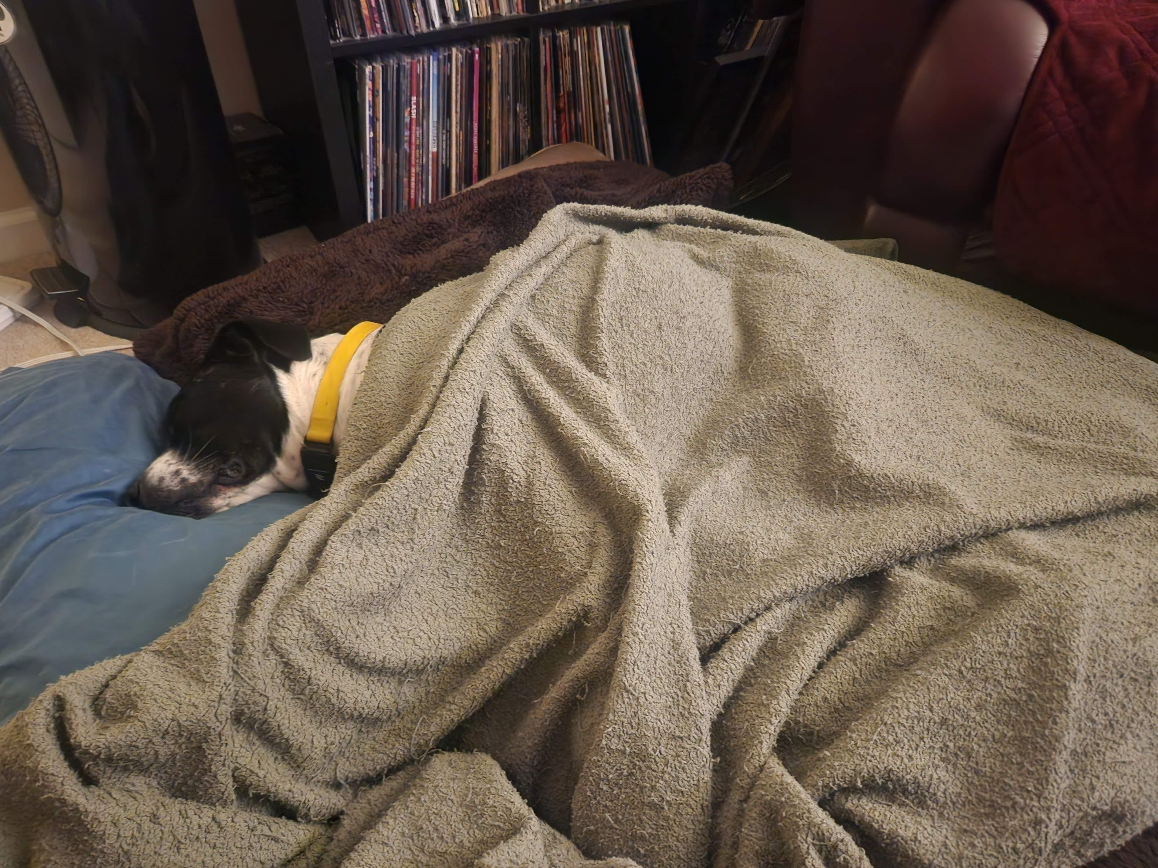 20230308_212905.jpg
