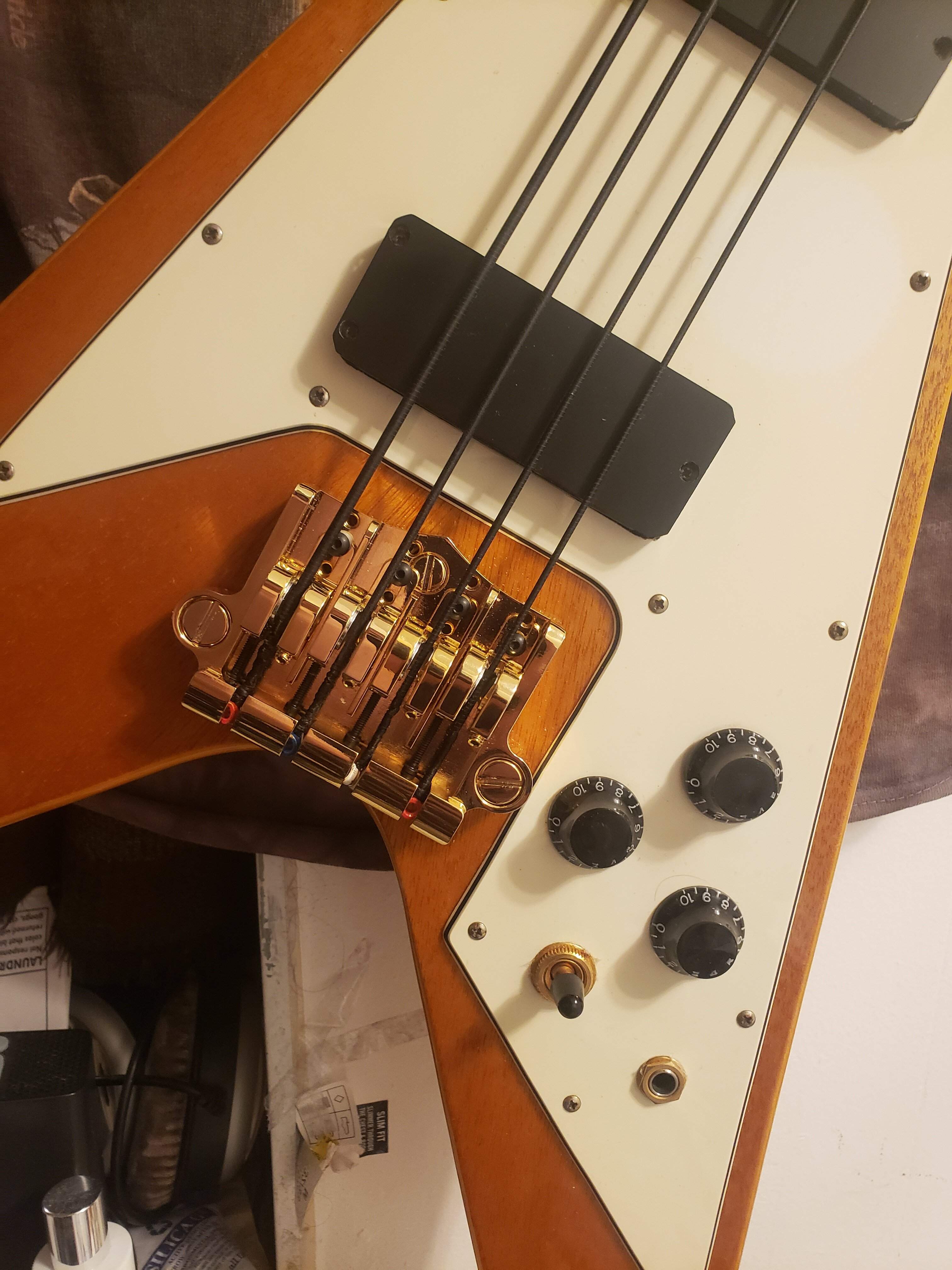 20230311_181824.jpg