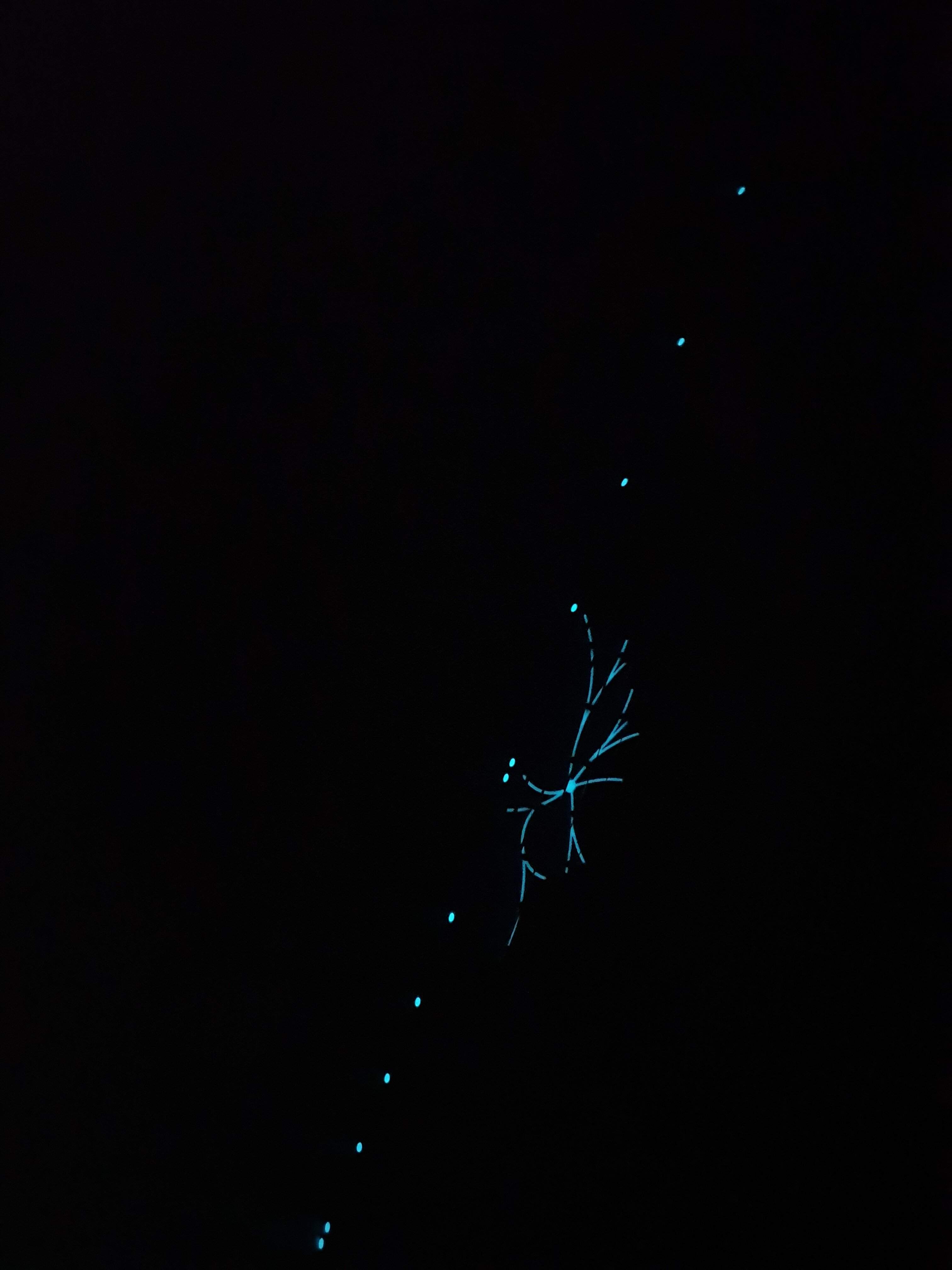 20230320_134112.jpg