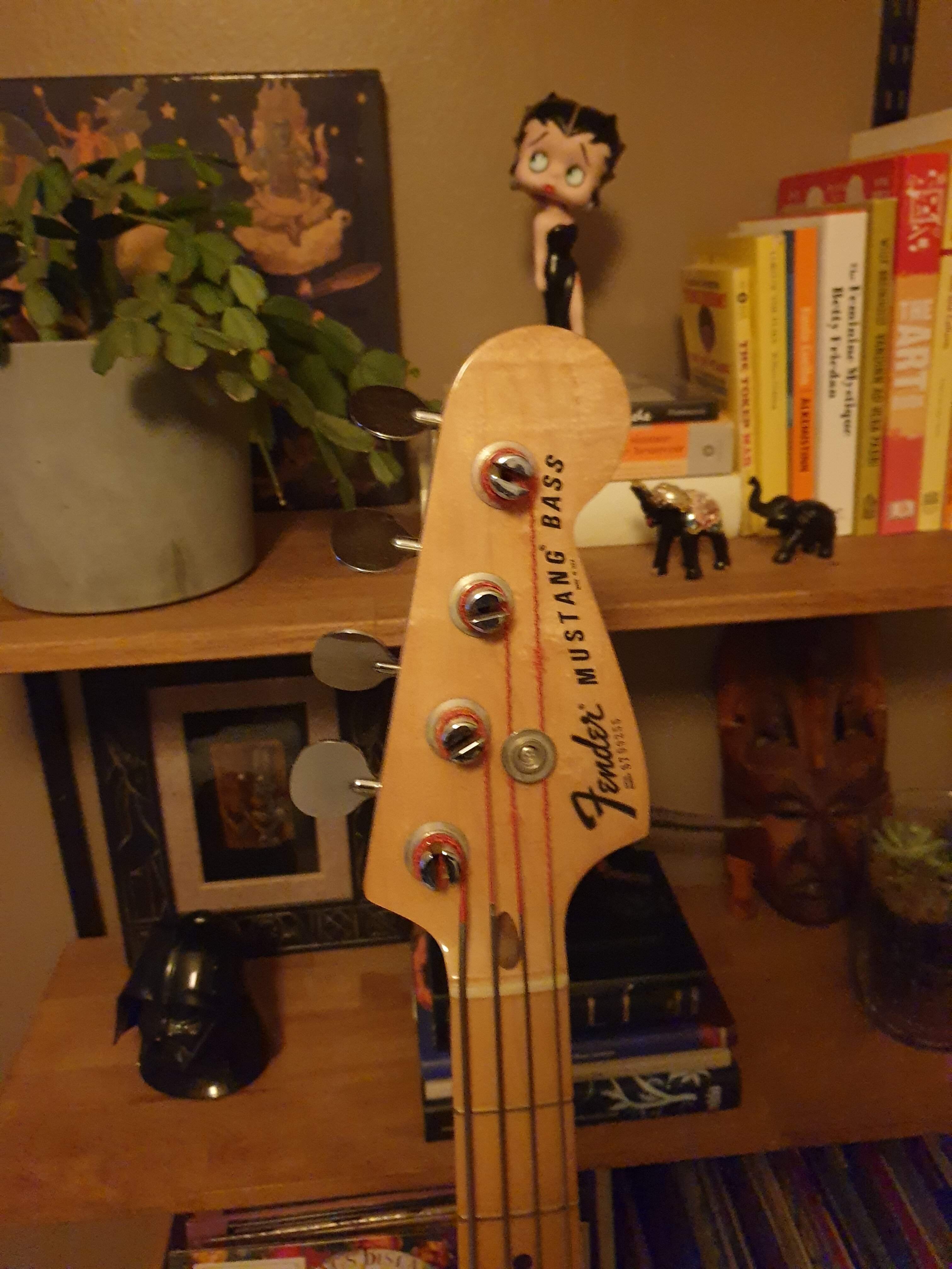 20230320_210935.jpg