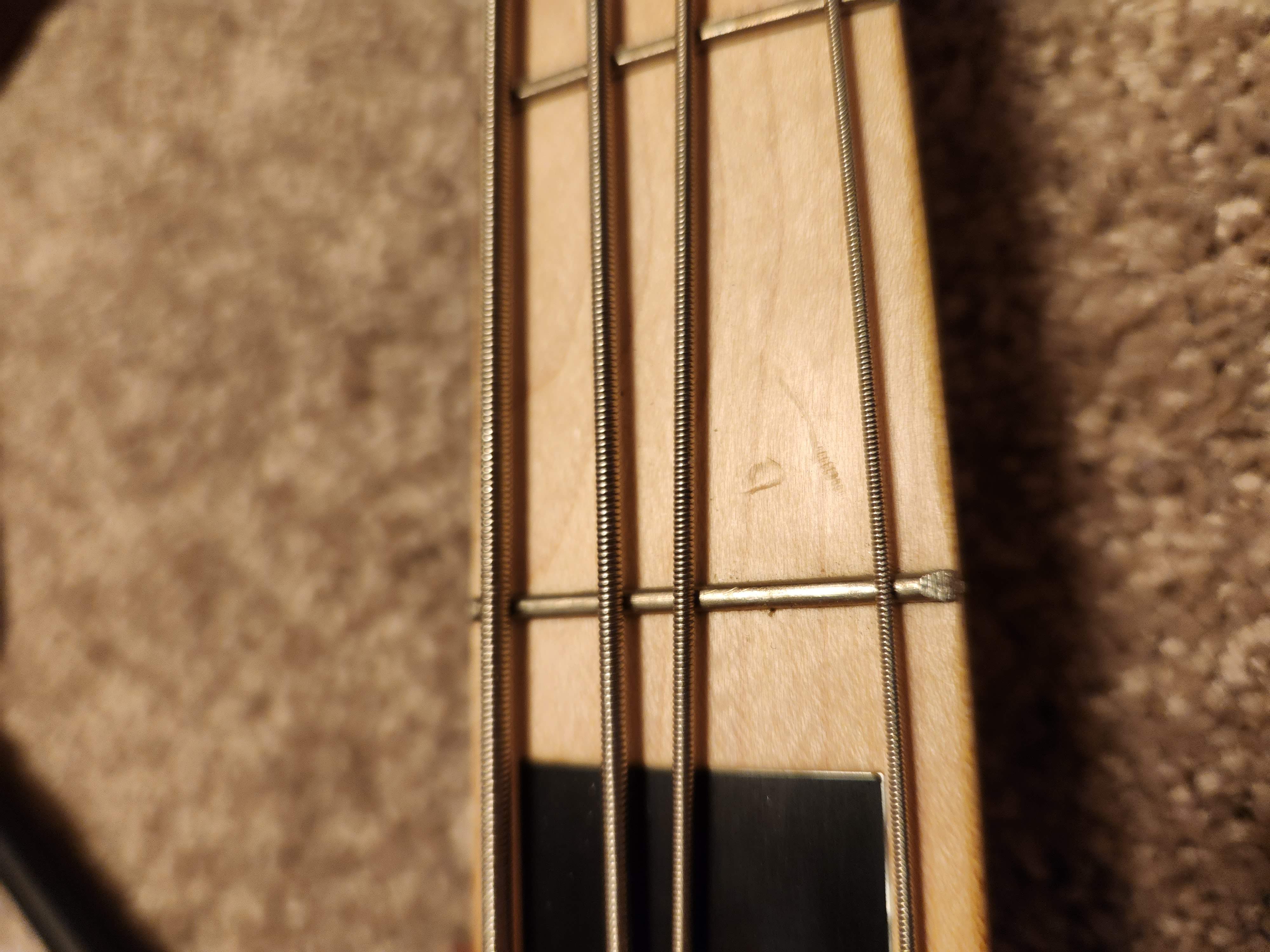 20230331_161505.jpg