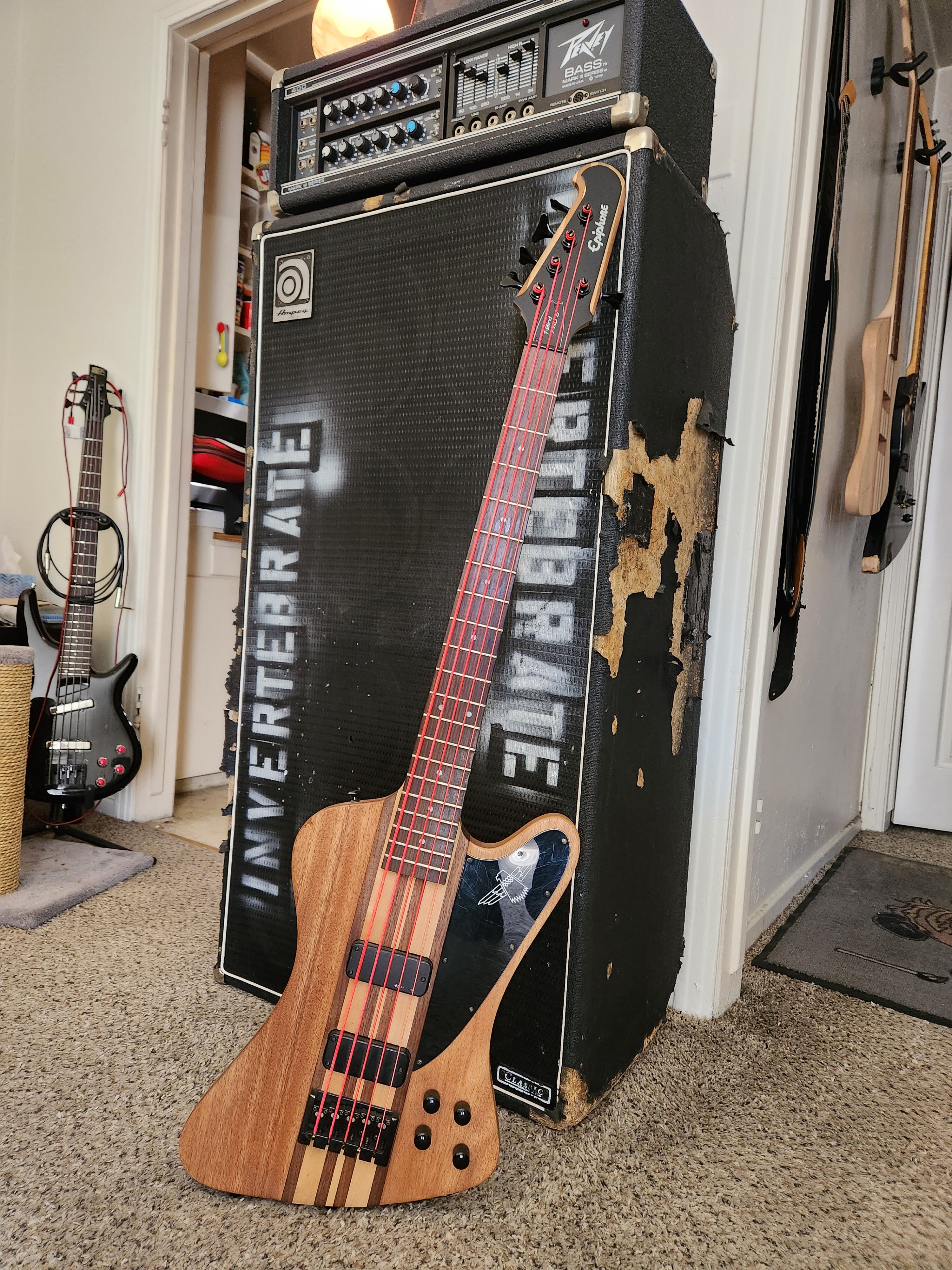 20230405_122413.jpg