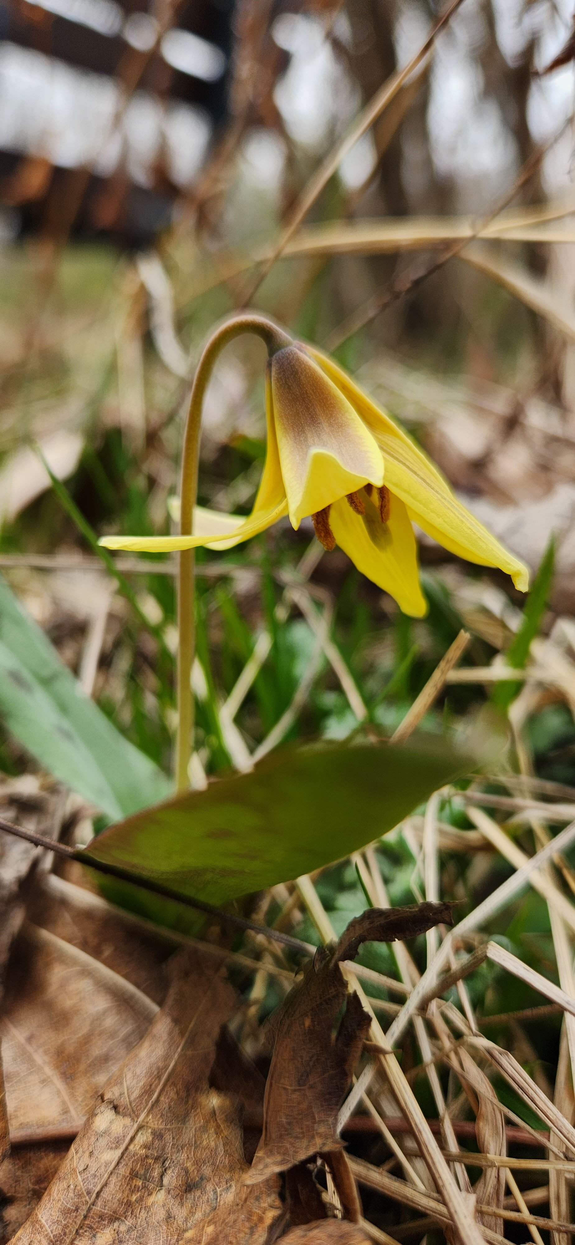 20230408_144958.jpg