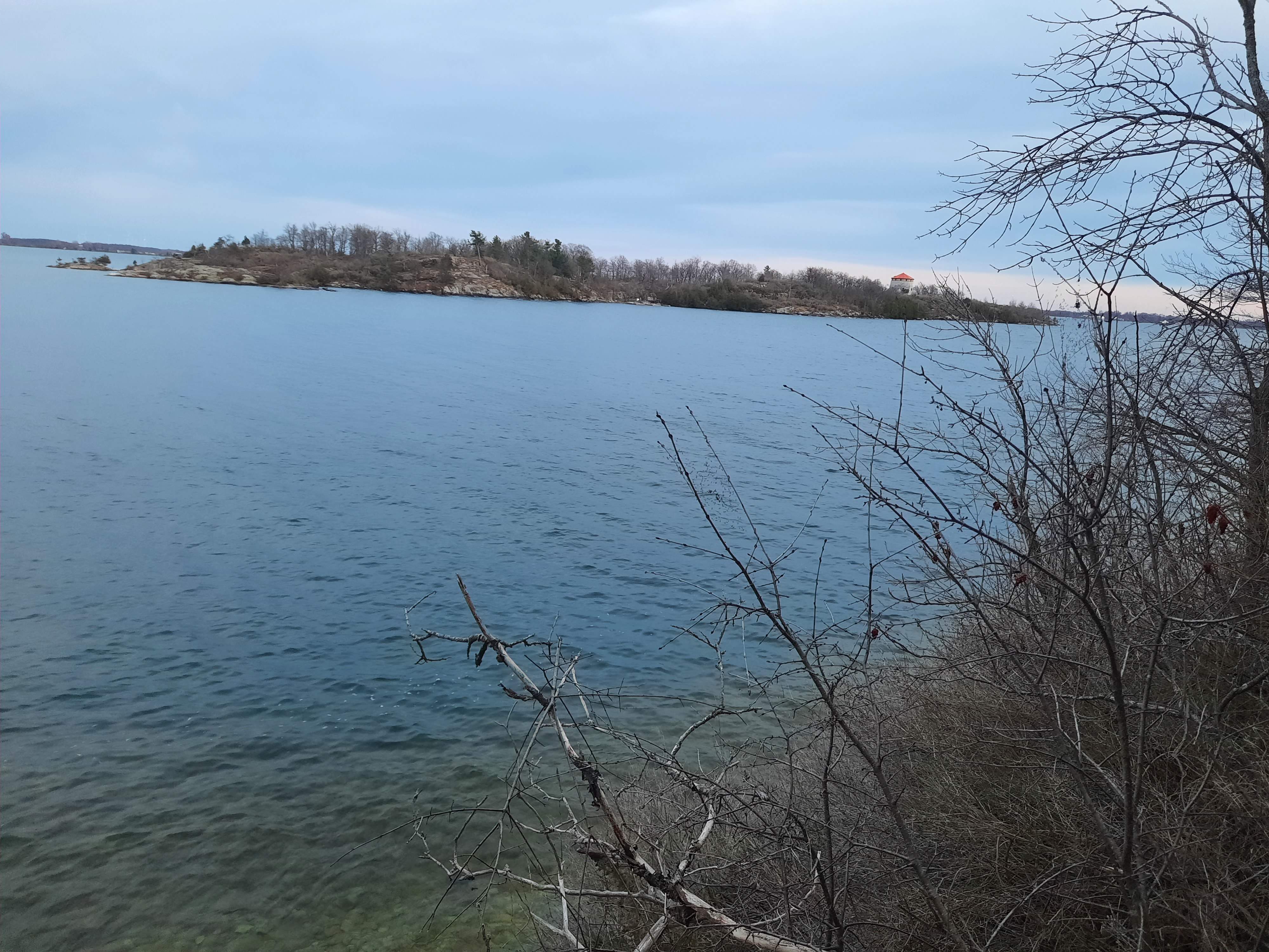 20230419_195822.jpg