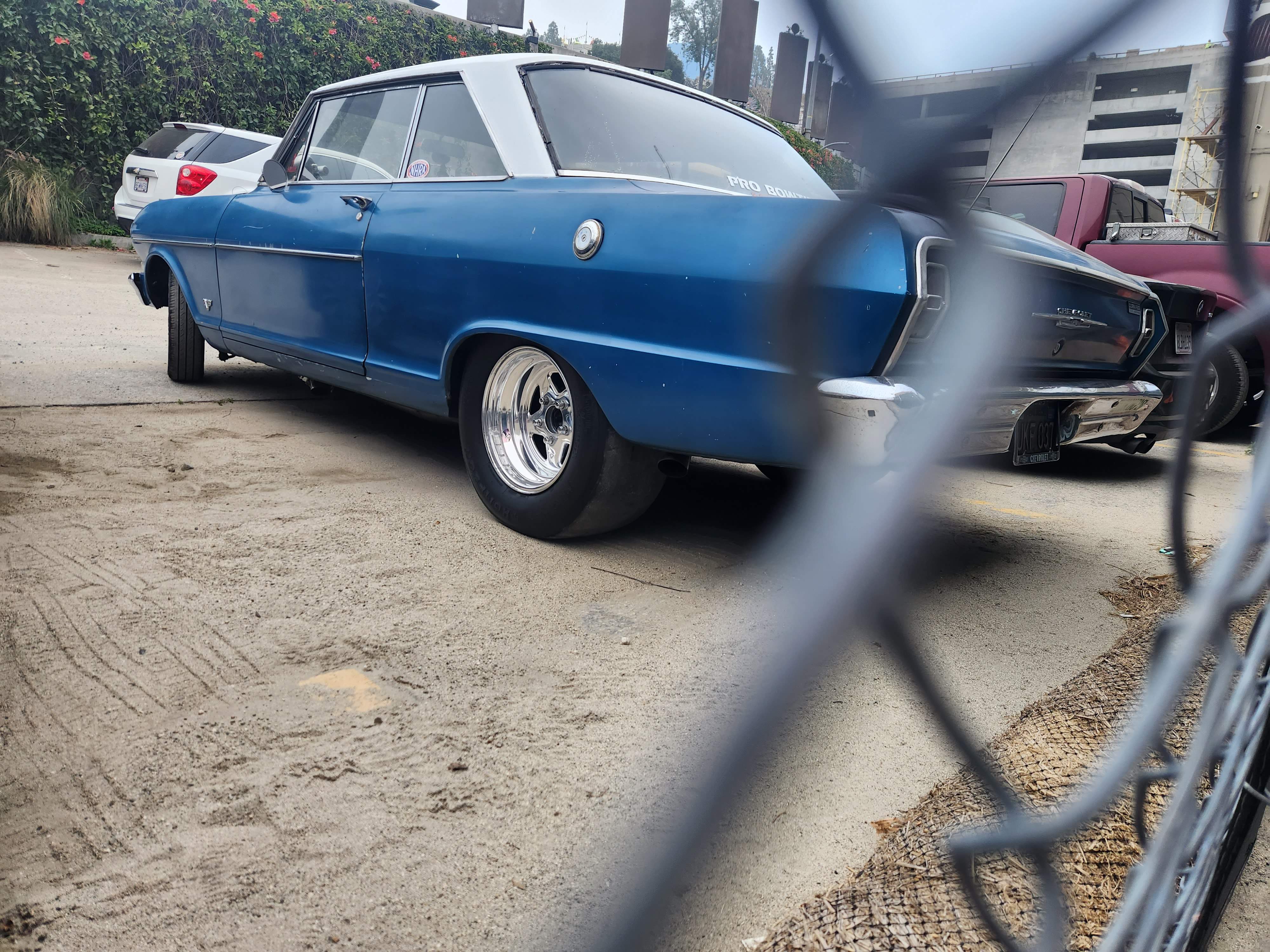 20230428_064018.jpg