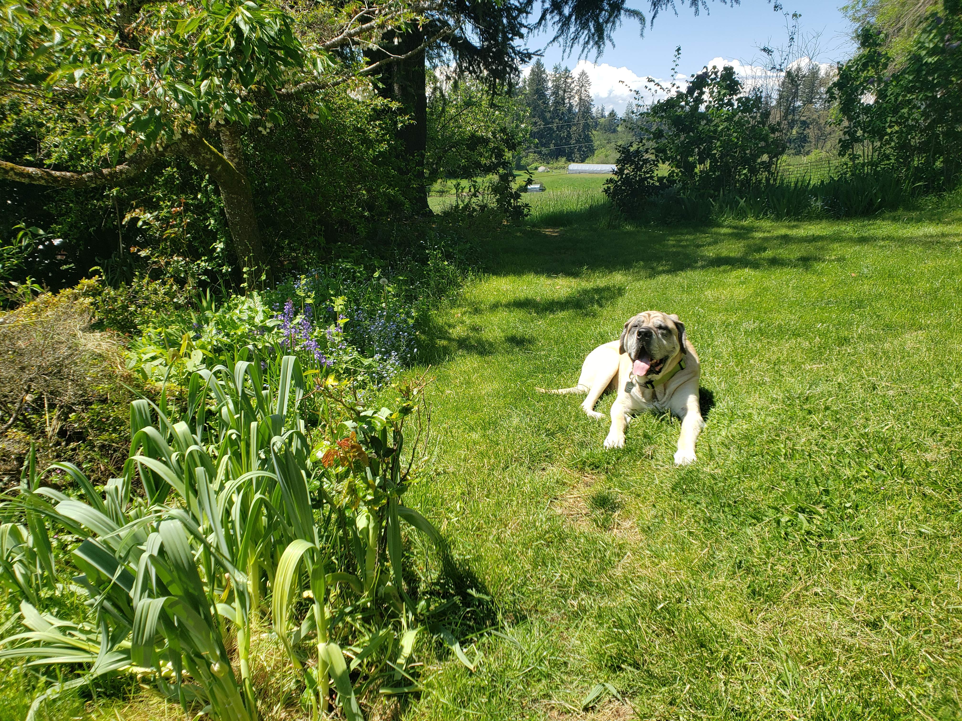 20230510_125156.jpg