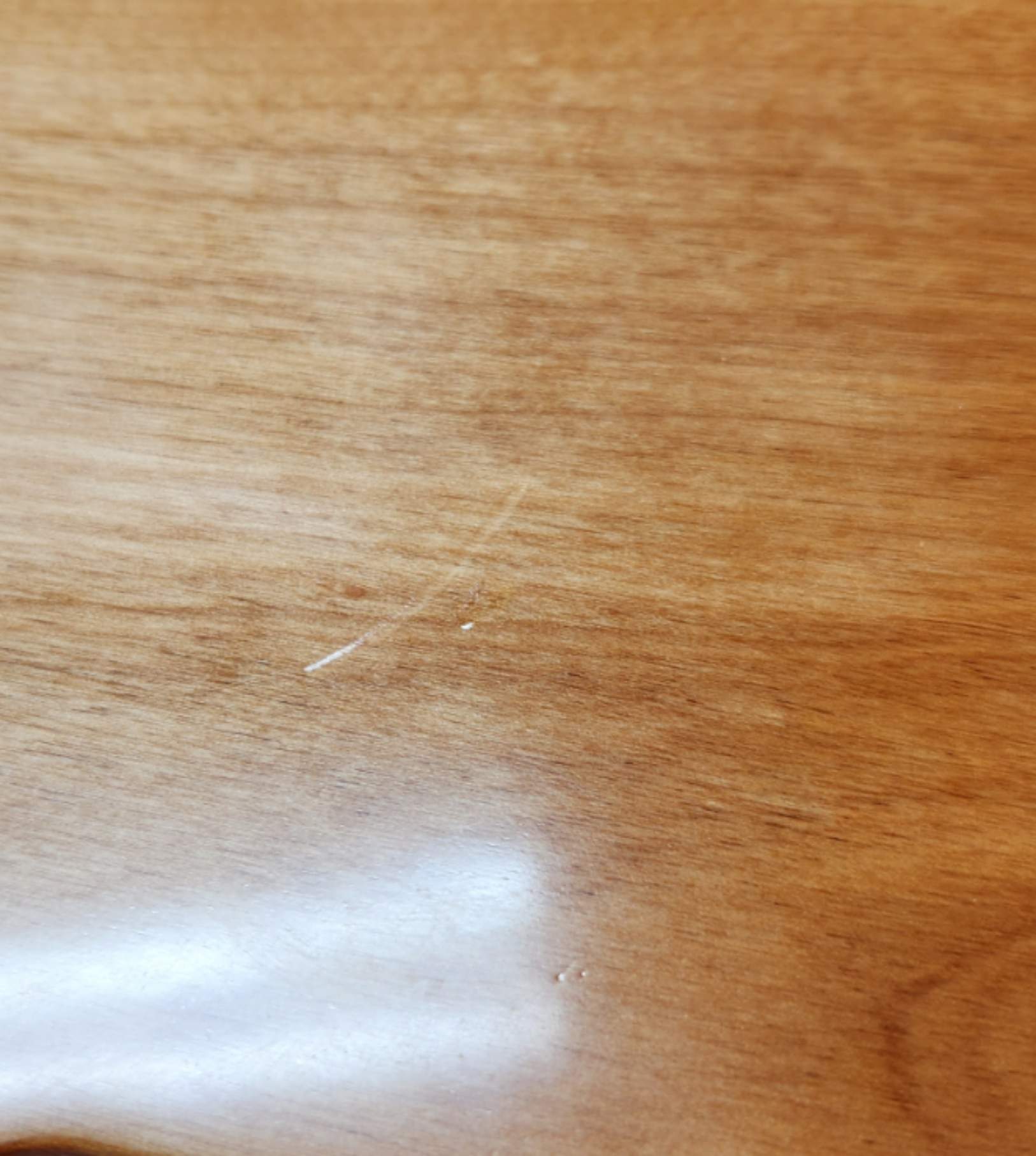 20230519_185245.jpg