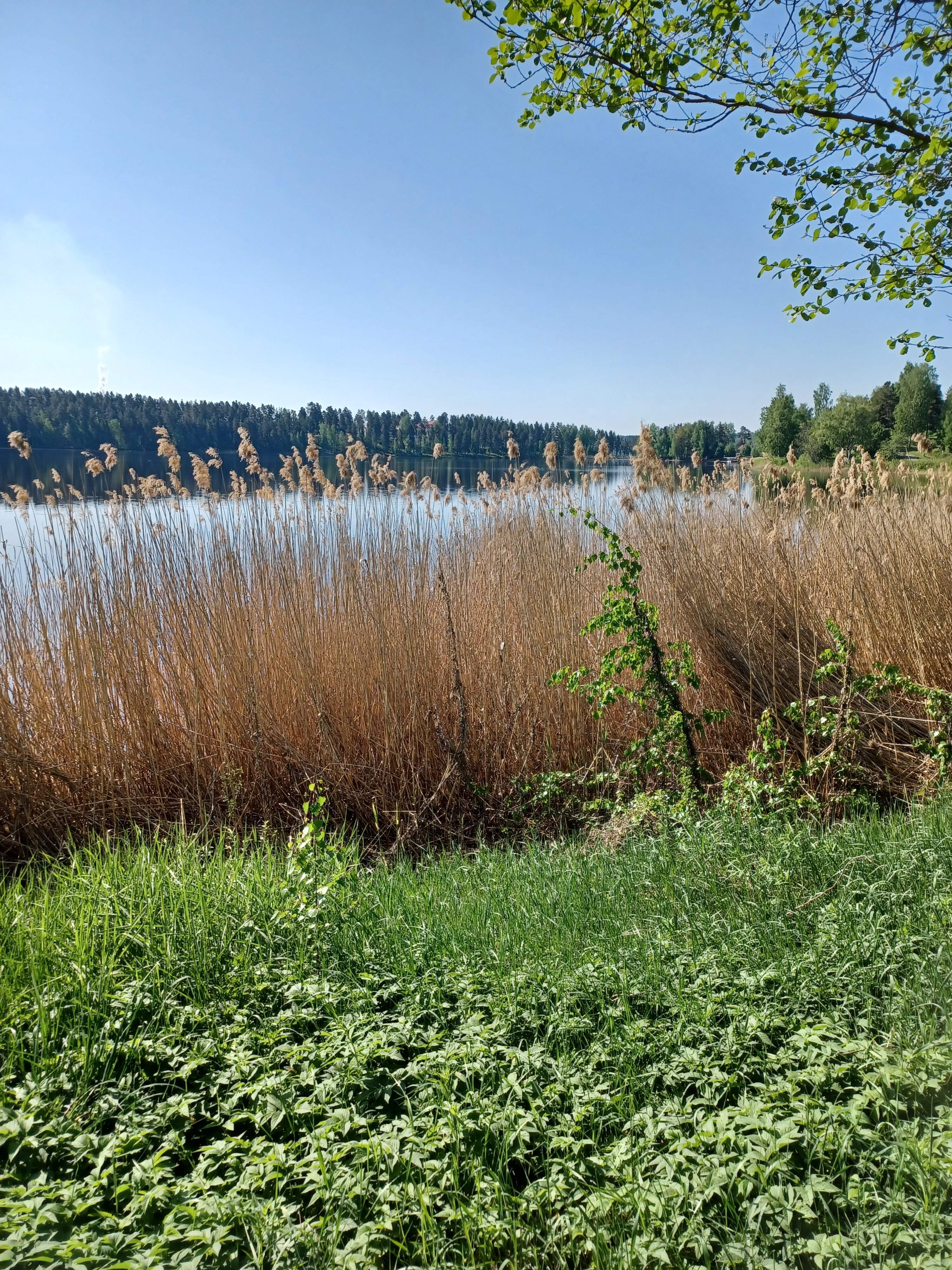 20230524_100602.jpg