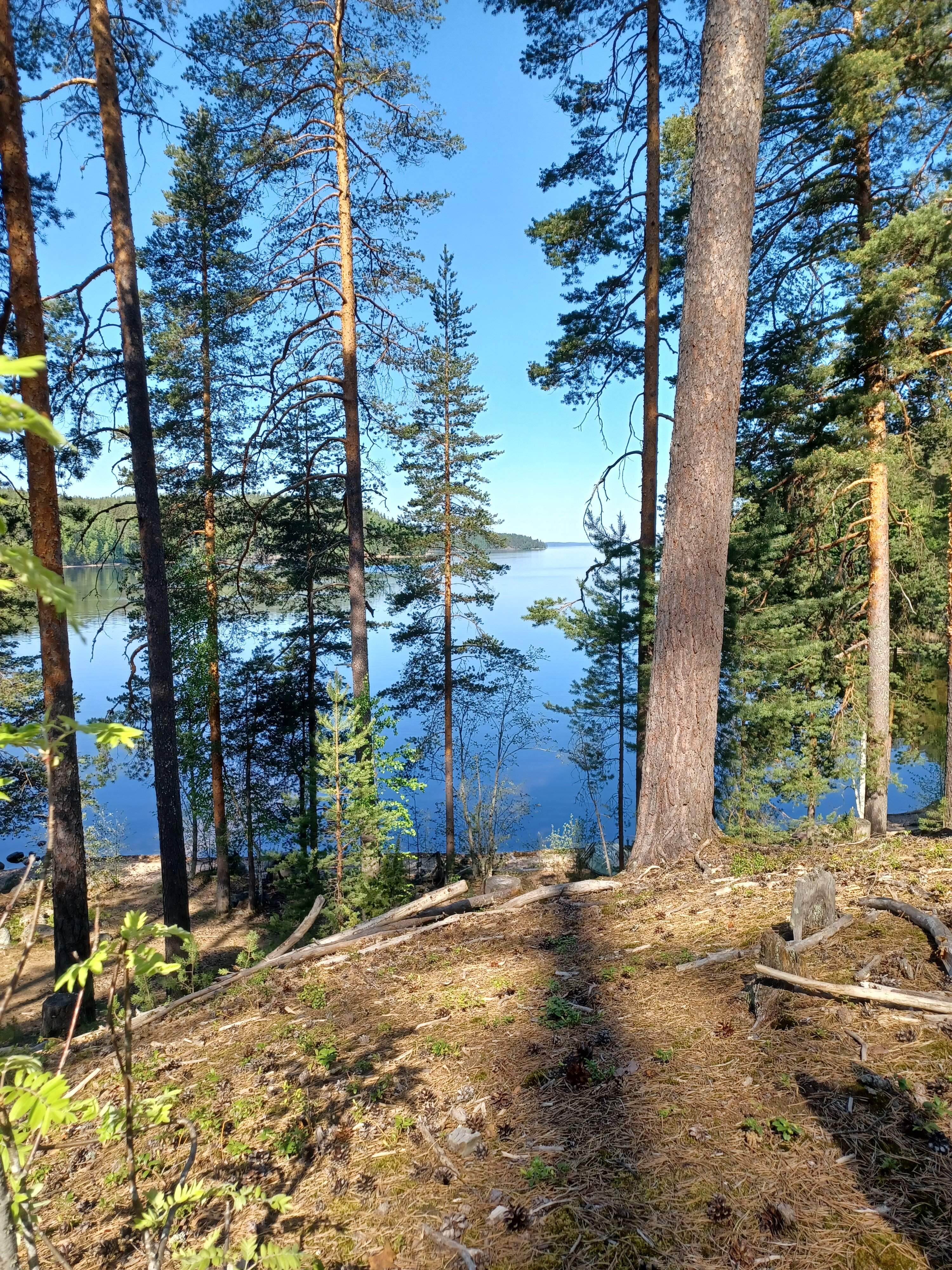 20230524_102656.jpg