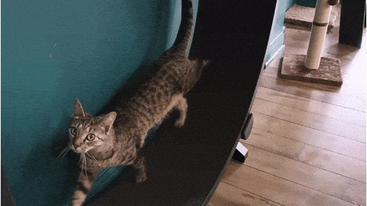 20230615_143835.gif