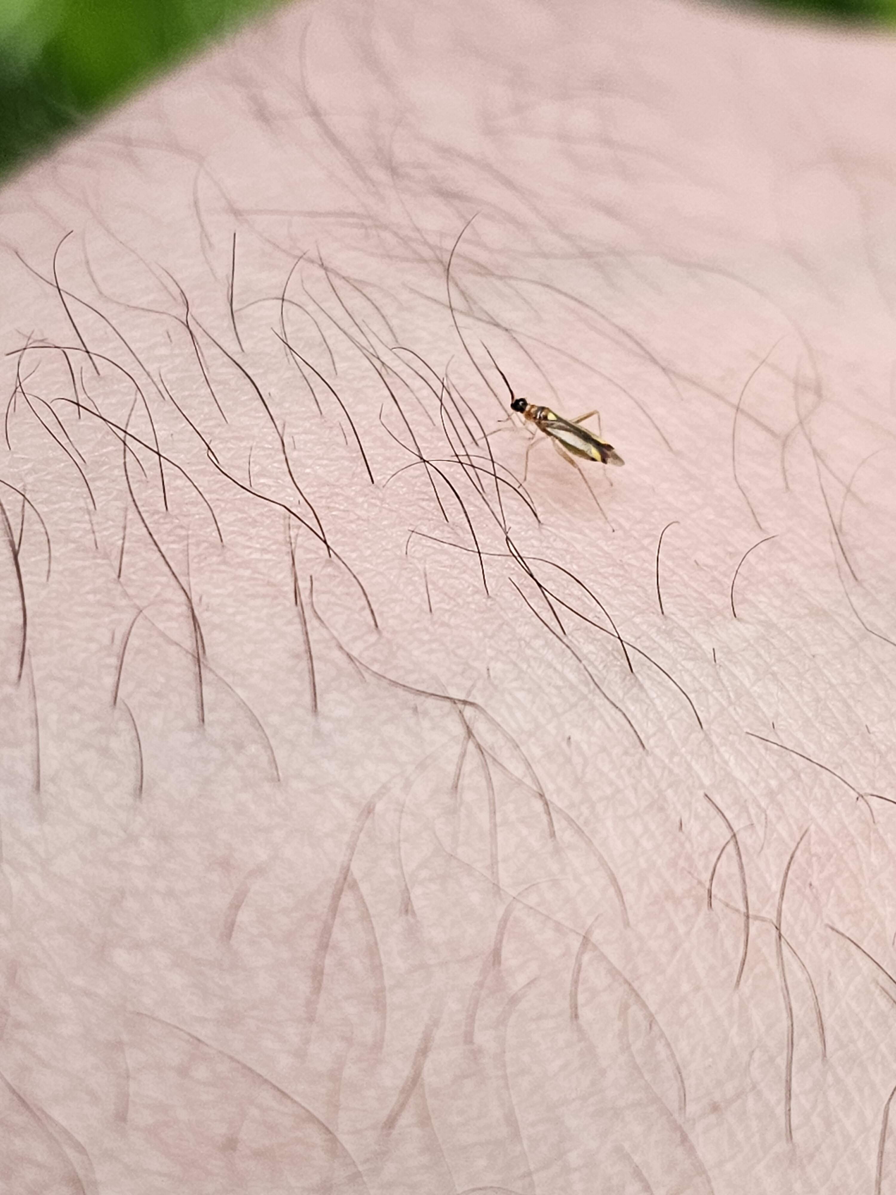20230622_193532.jpg
