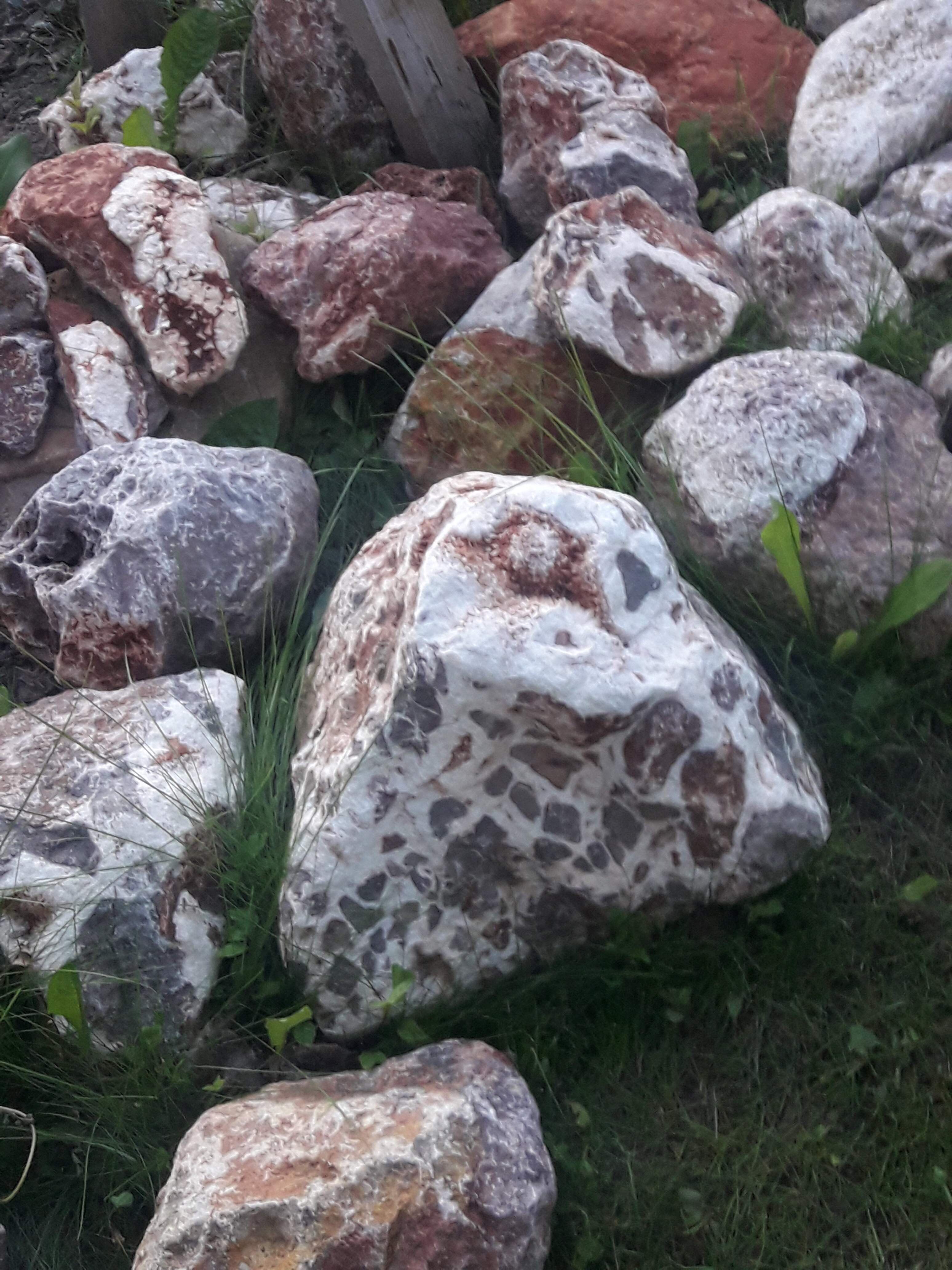 20230622_214105.jpg