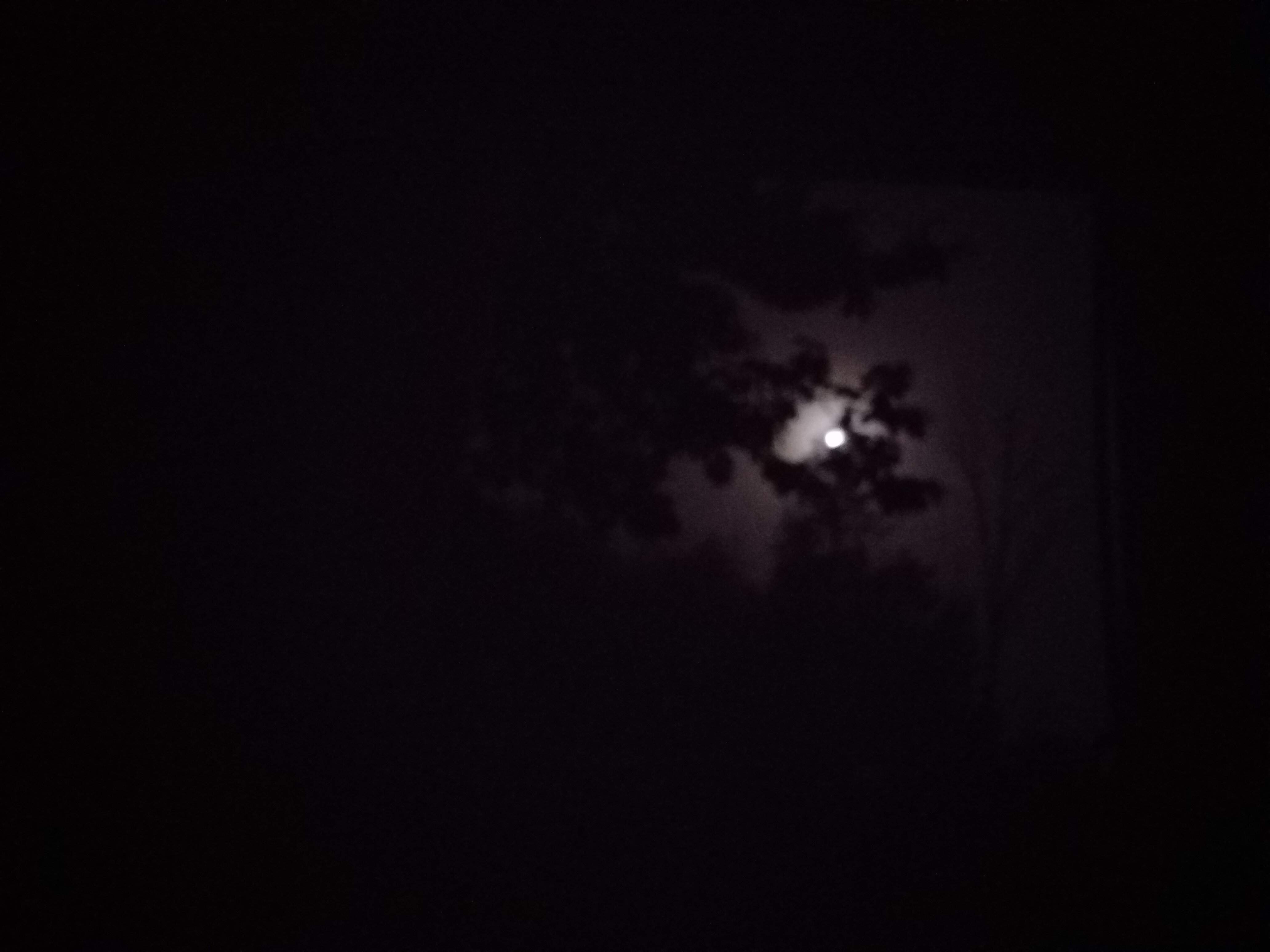 20230705_025231.jpg
